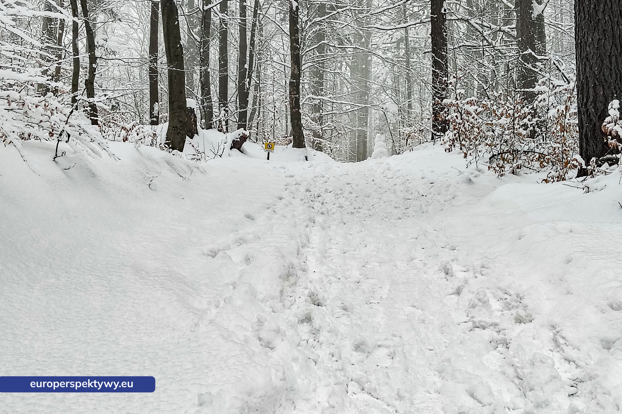 Europerspektywy Ferie w województwie śląskim – zimowe Beskidy w obiektywie