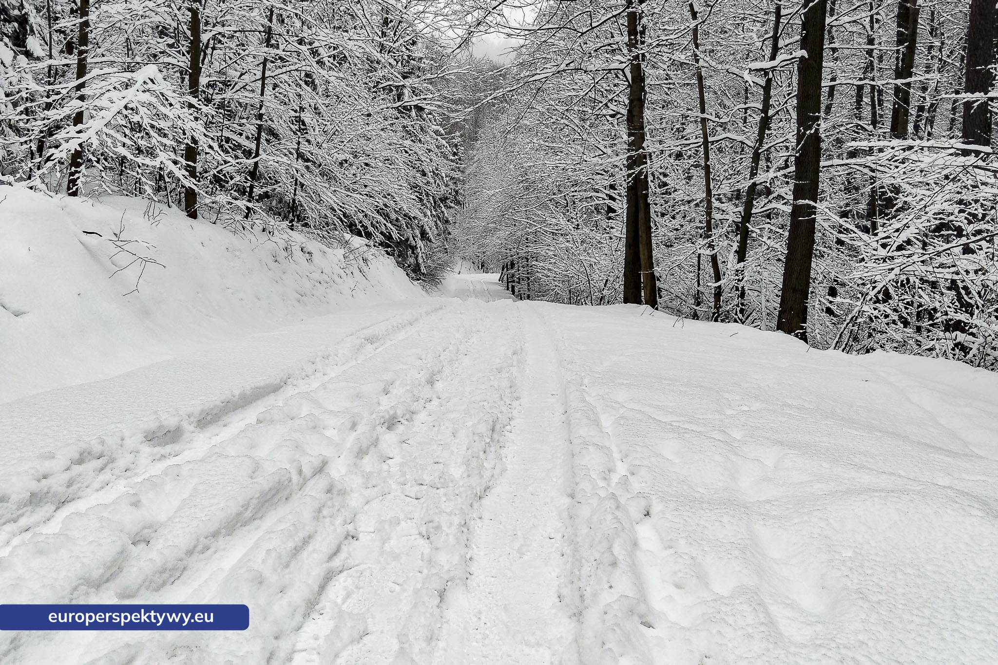 Europerspektywy Ferie w województwie śląskim – zimowe Beskidy w obiektywie