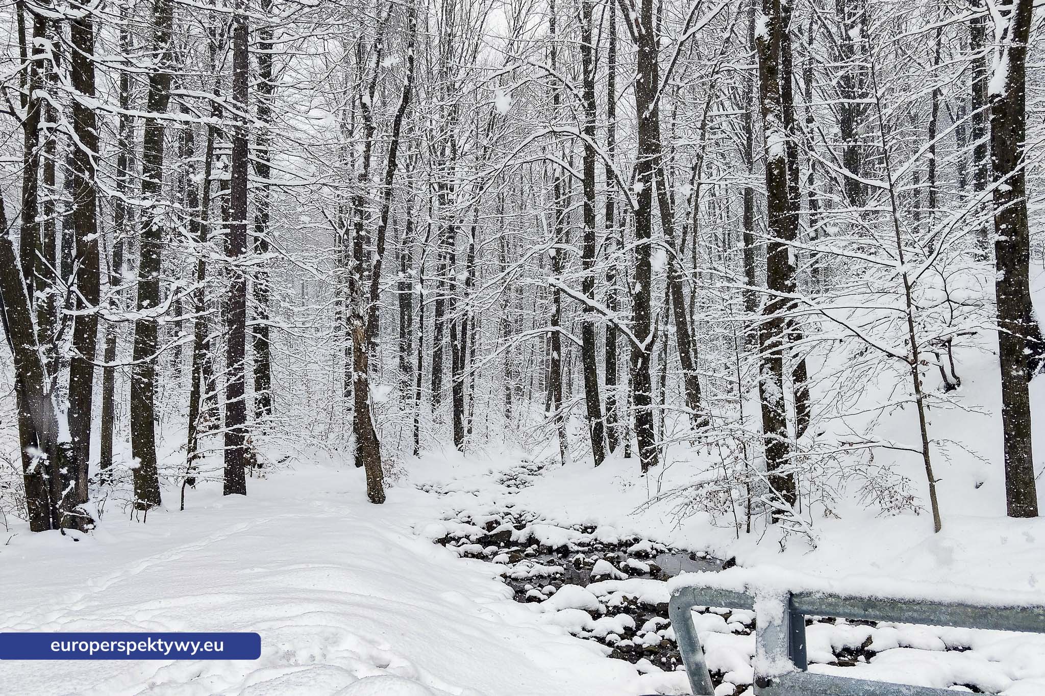 Europerspektywy Ferie w województwie śląskim – zimowe Beskidy w obiektywie