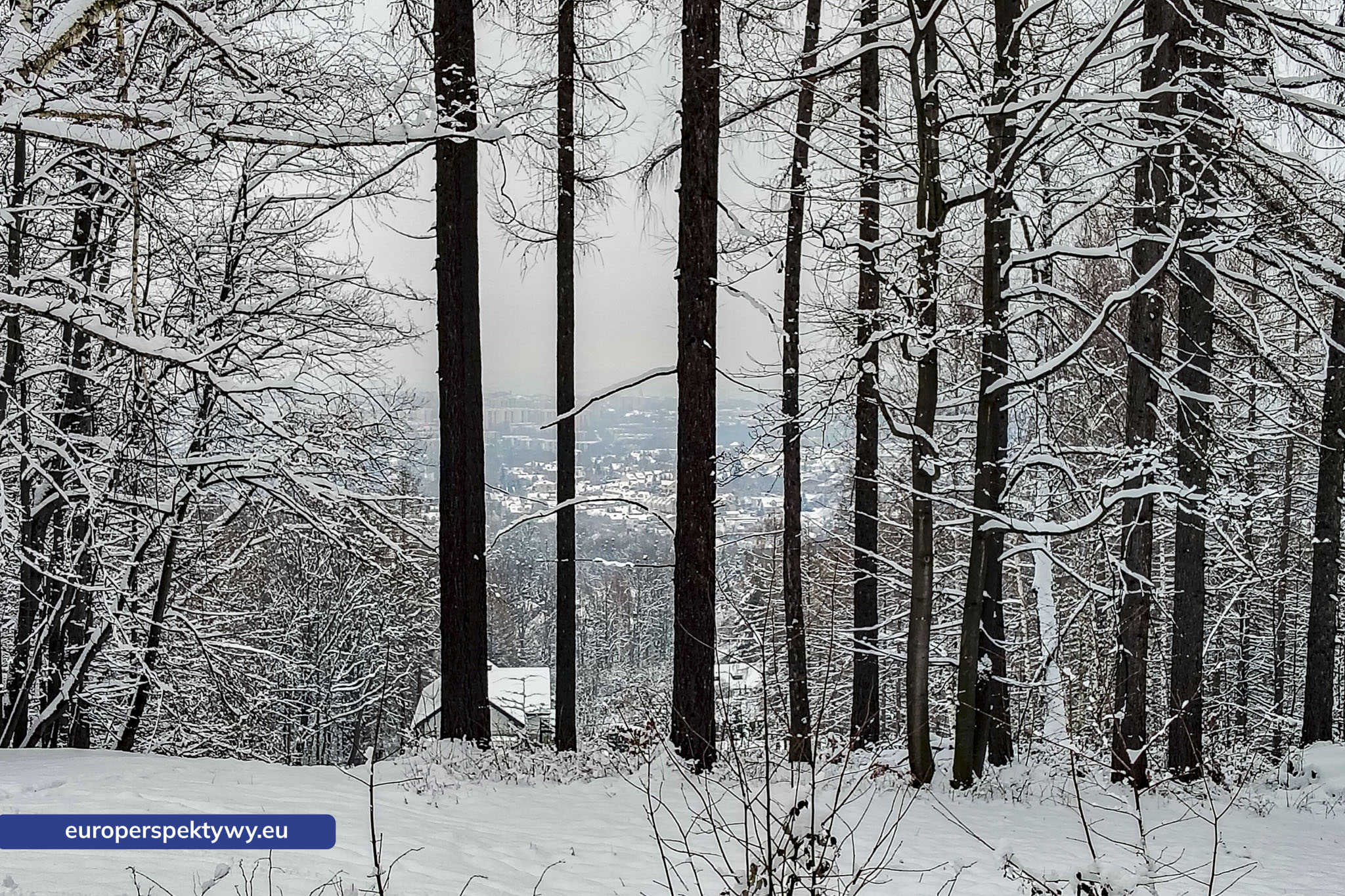 Europerspektywy Ferie w województwie śląskim – zimowe Beskidy w obiektywie