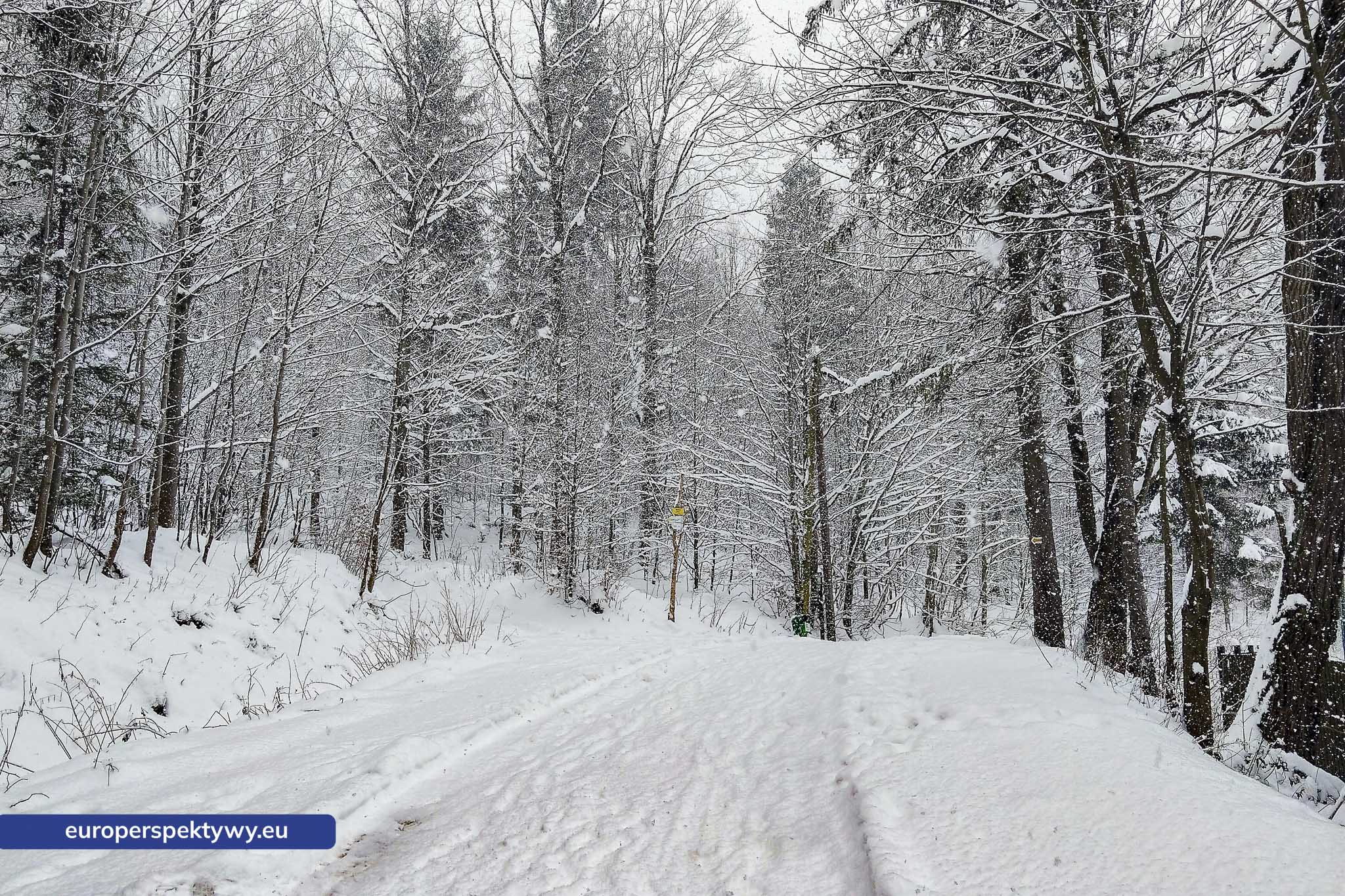 Europerspektywy Ferie w województwie śląskim – zimowe Beskidy w obiektywie