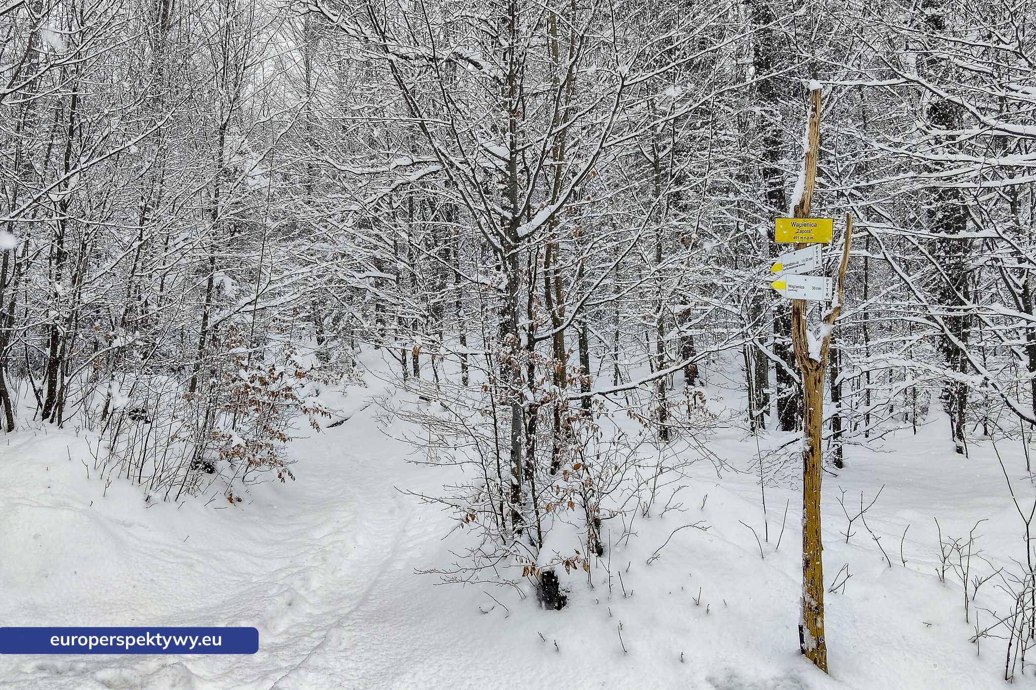 Europerspektywy Ferie w województwie śląskim – zimowe Beskidy w obiektywie
