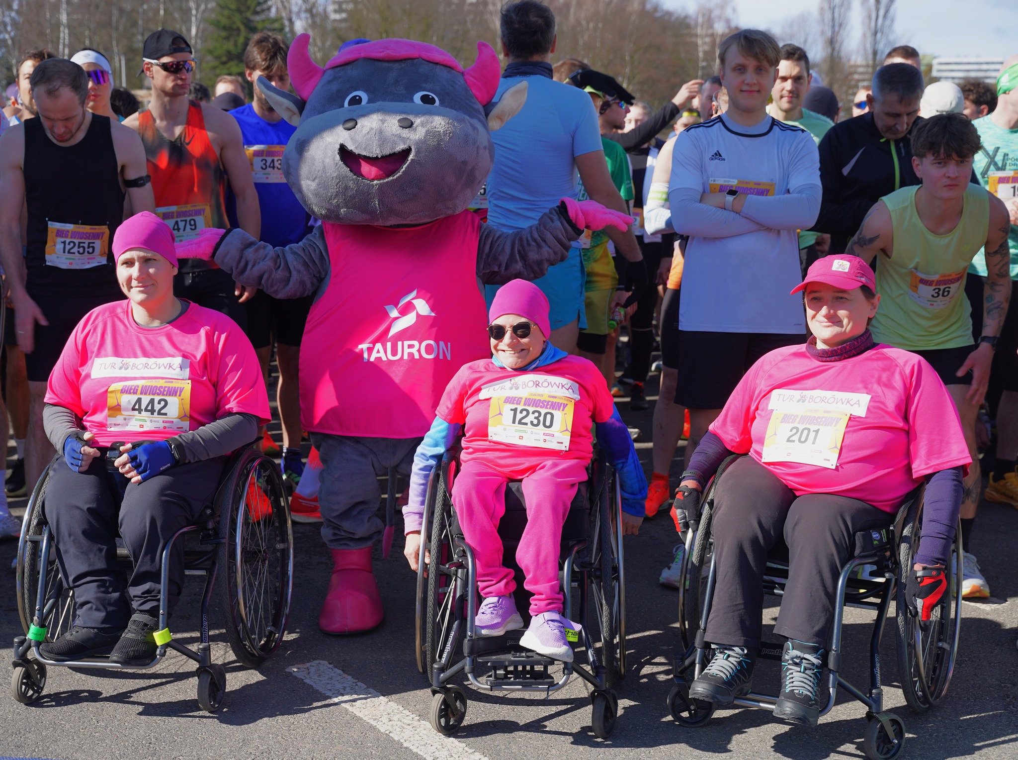 tauron park śląski