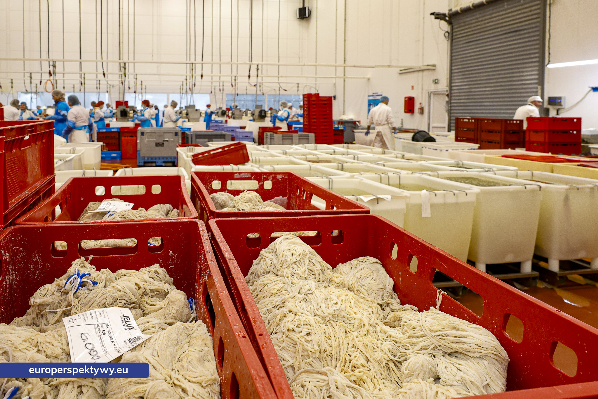 Europerspektywy Śląski smak biznesu – przedsiębiorcy spotkali się w siedzibie Jelux Polska