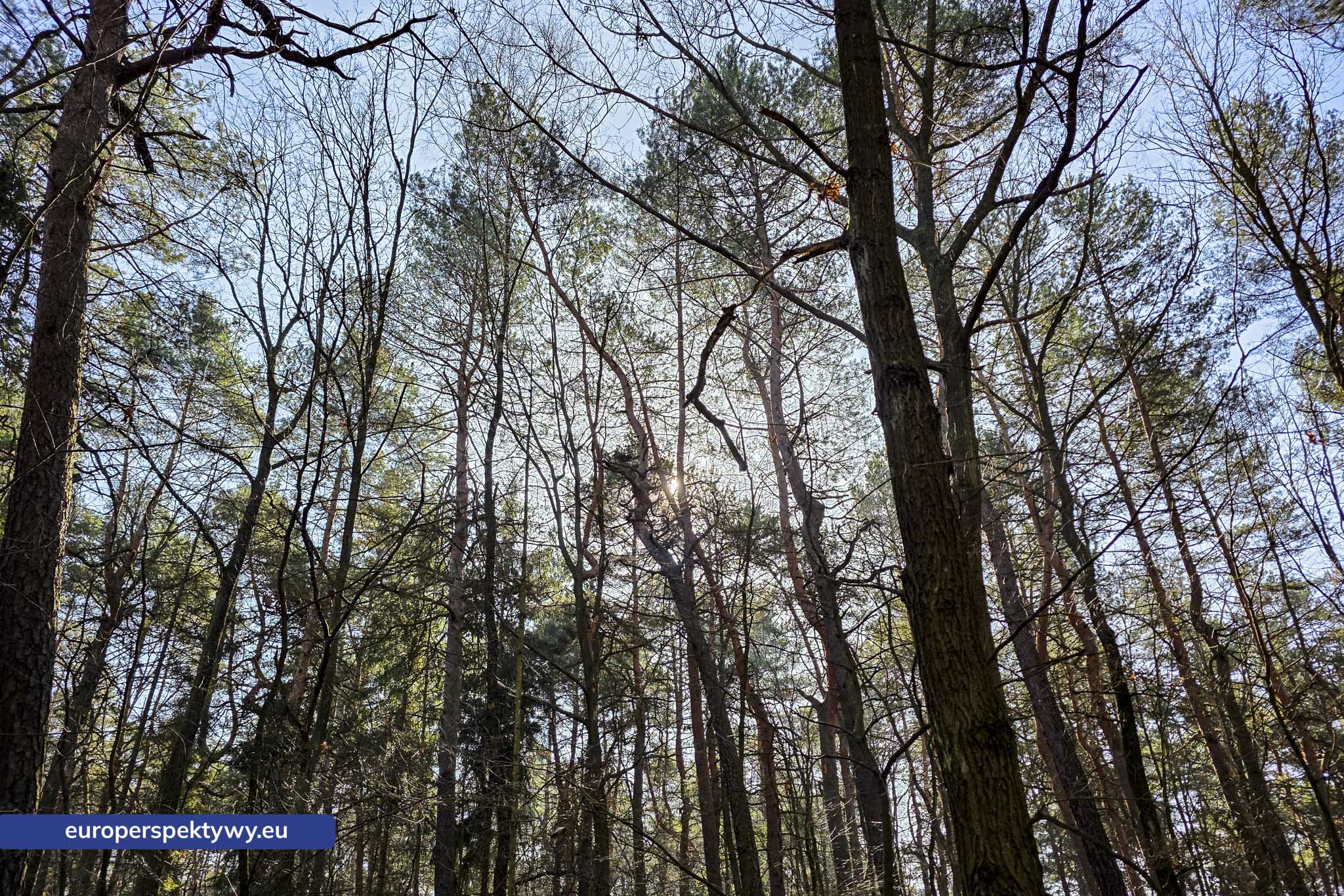 Fotoreportaż wiosna