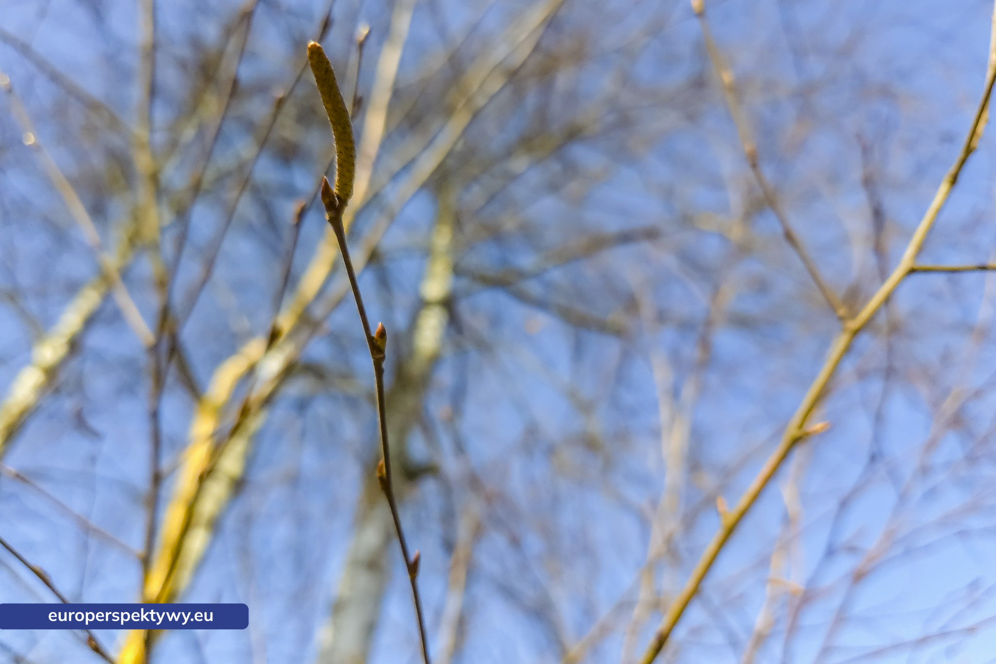 Europerspektywy Przedwiośnie – kiedy natura budzi się do życia