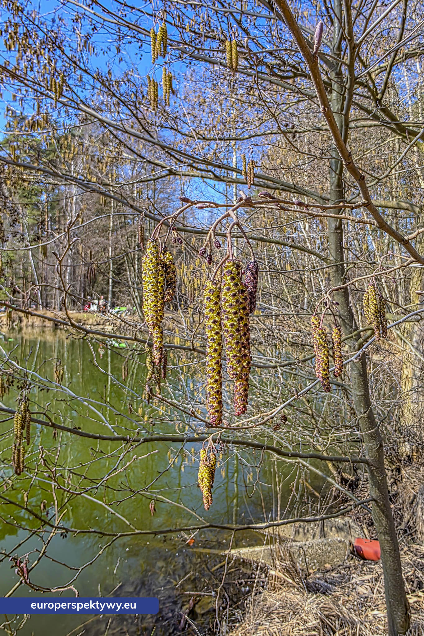Europerspektywy Przedwiośnie – kiedy natura budzi się do życia