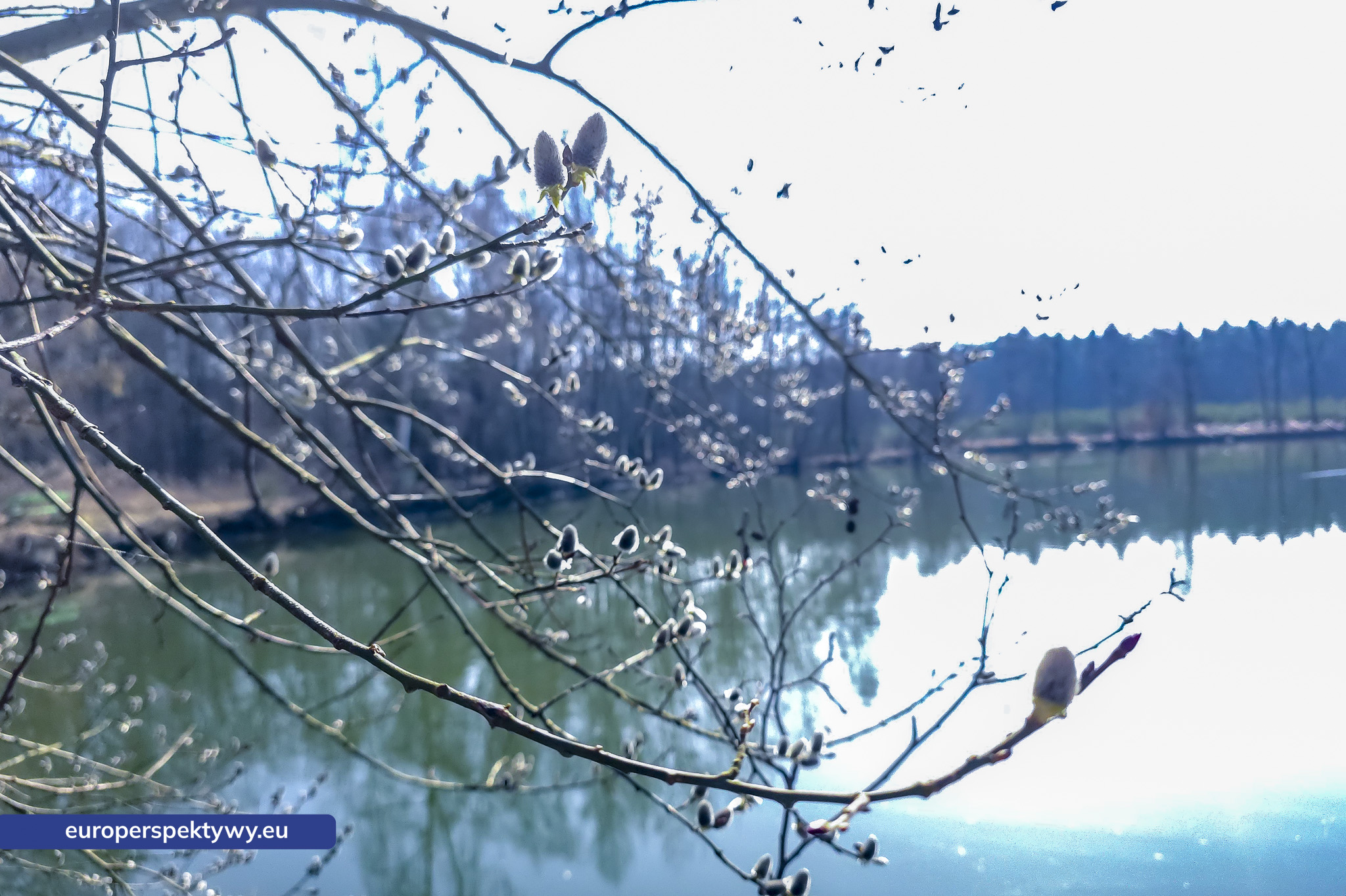 Europerspektywy Przedwiośnie – kiedy natura budzi się do życia