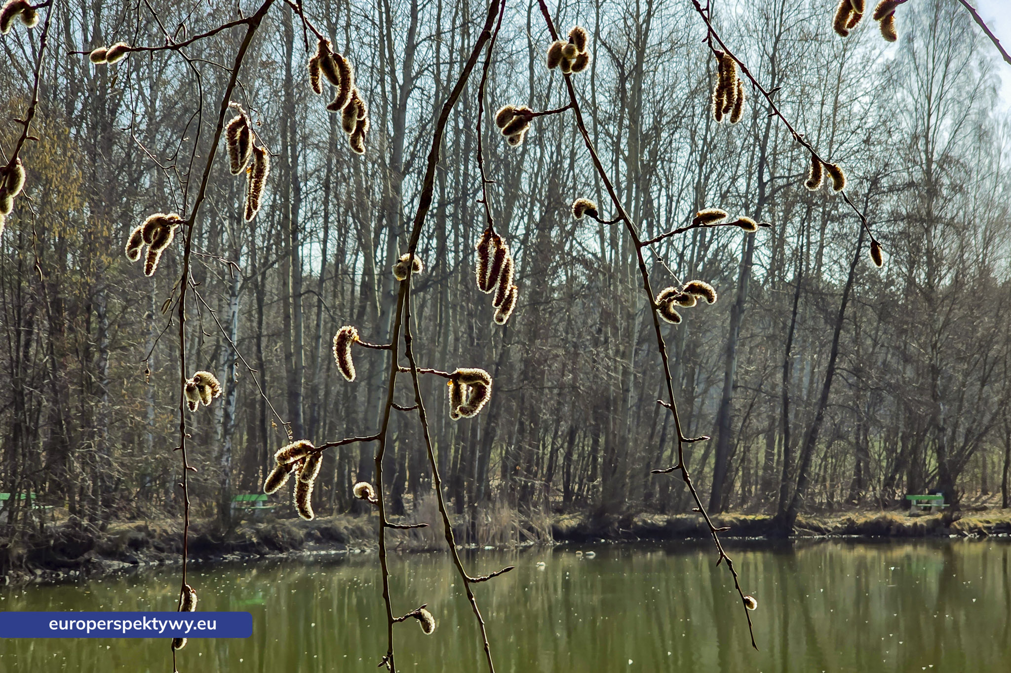 Europerspektywy Przedwiośnie – kiedy natura budzi się do życia