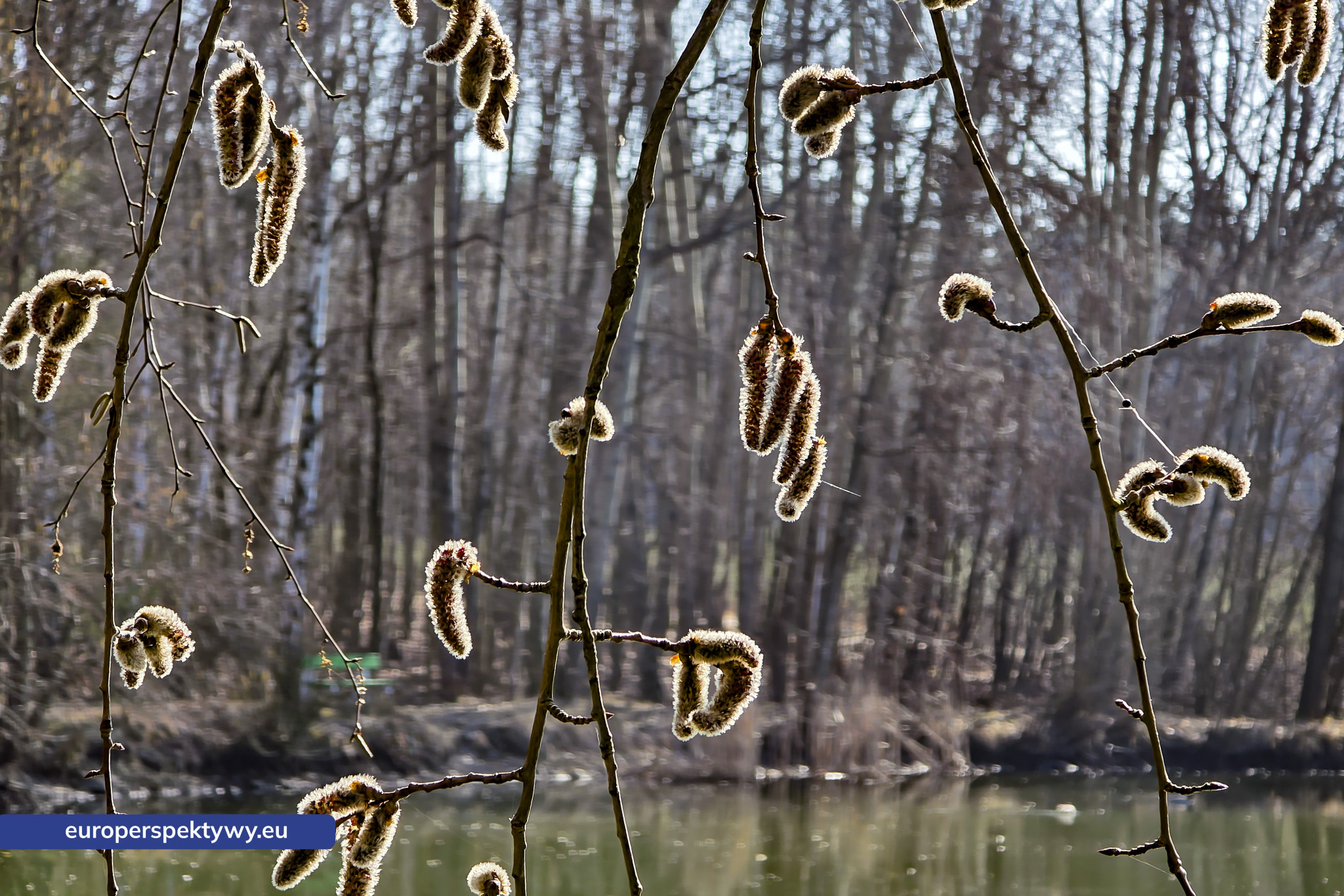 Europerspektywy Przedwiośnie – kiedy natura budzi się do życia