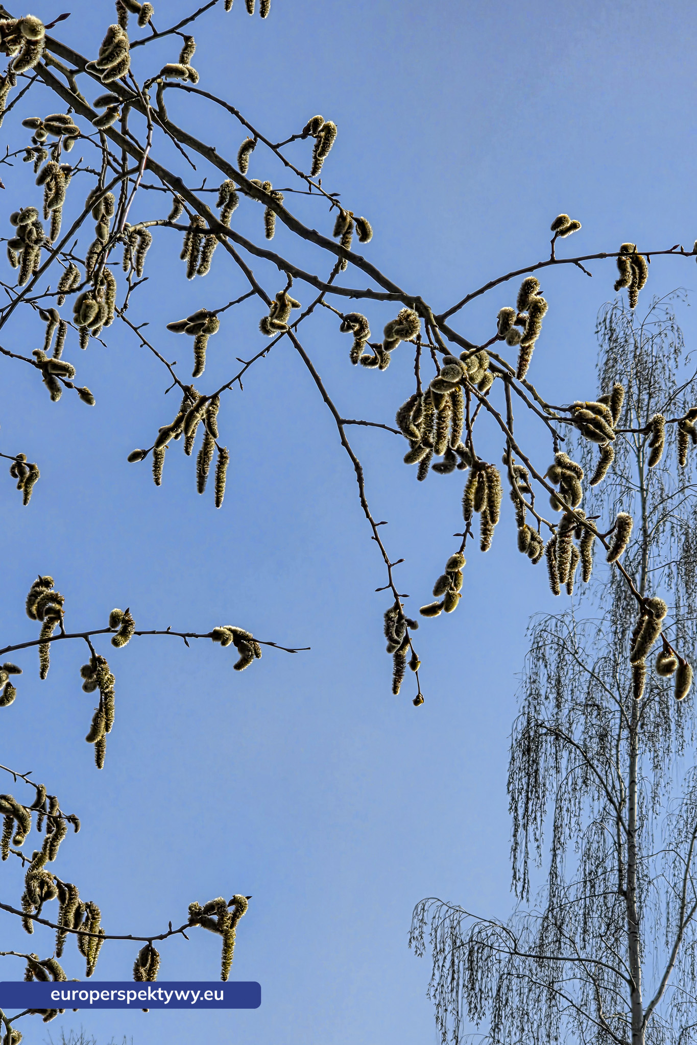 Europerspektywy Przedwiośnie – kiedy natura budzi się do życia