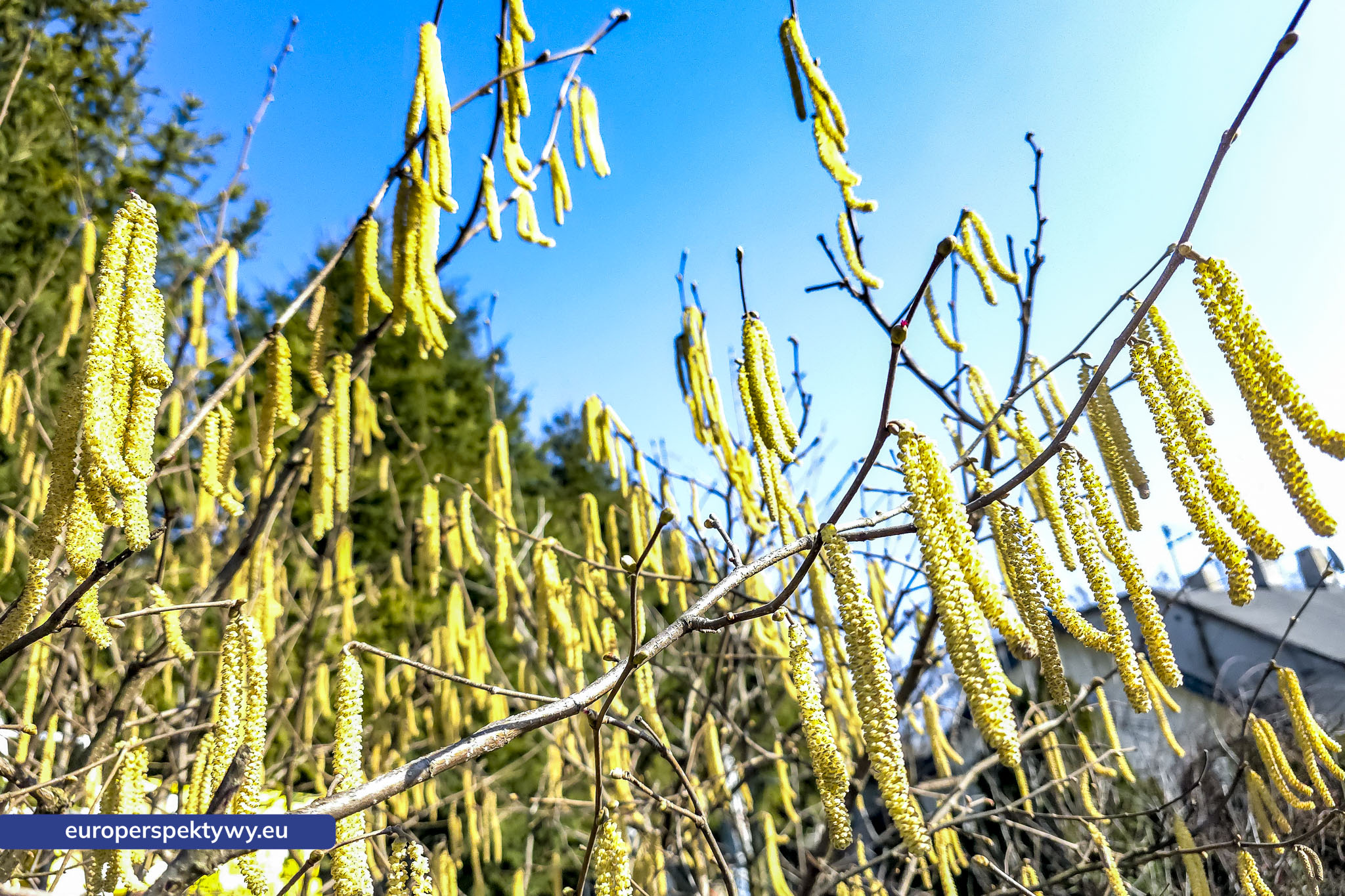 Europerspektywy Przedwiośnie – kiedy natura budzi się do życia