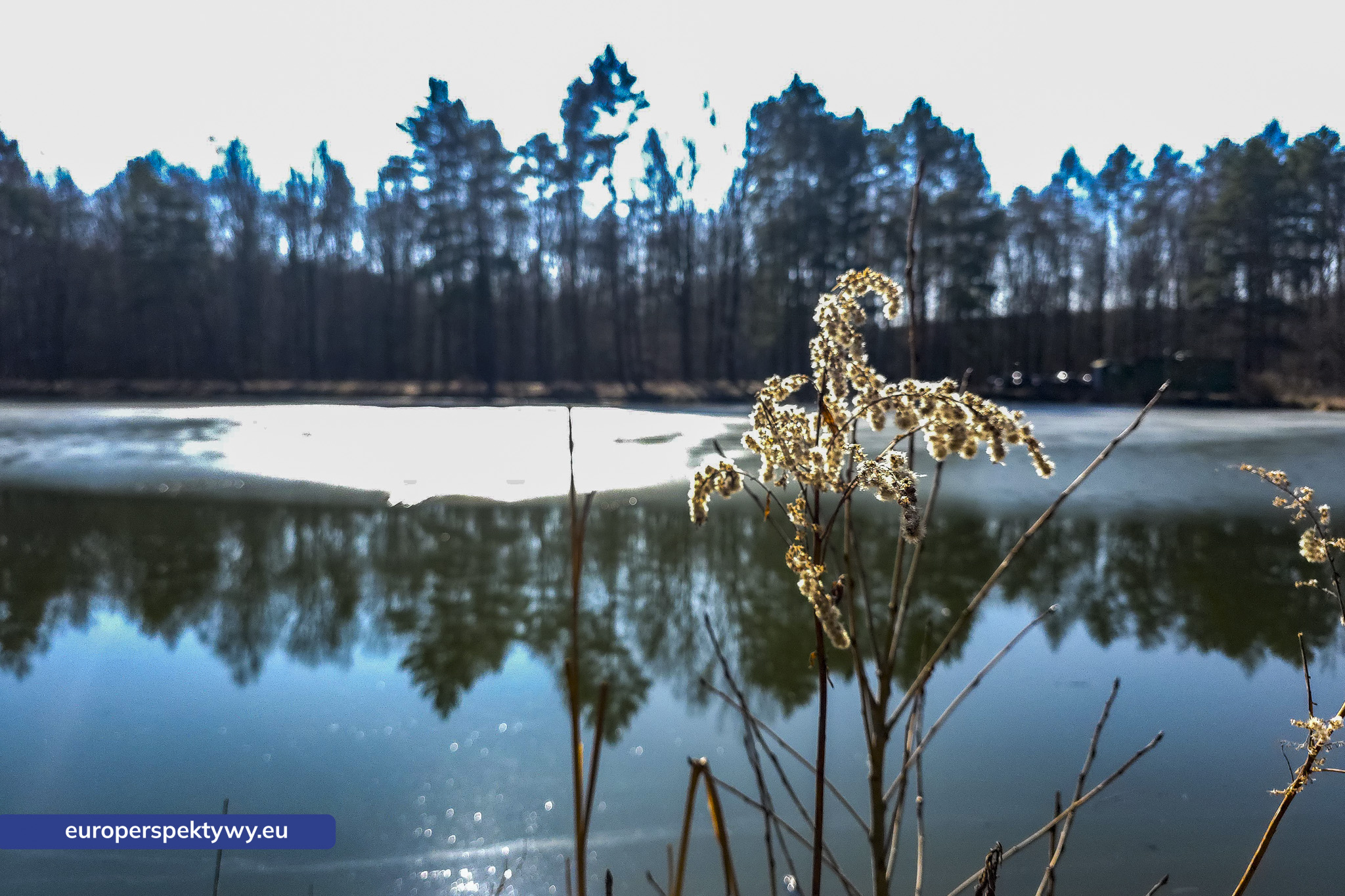 Europerspektywy Przedwiośnie – kiedy natura budzi się do życia