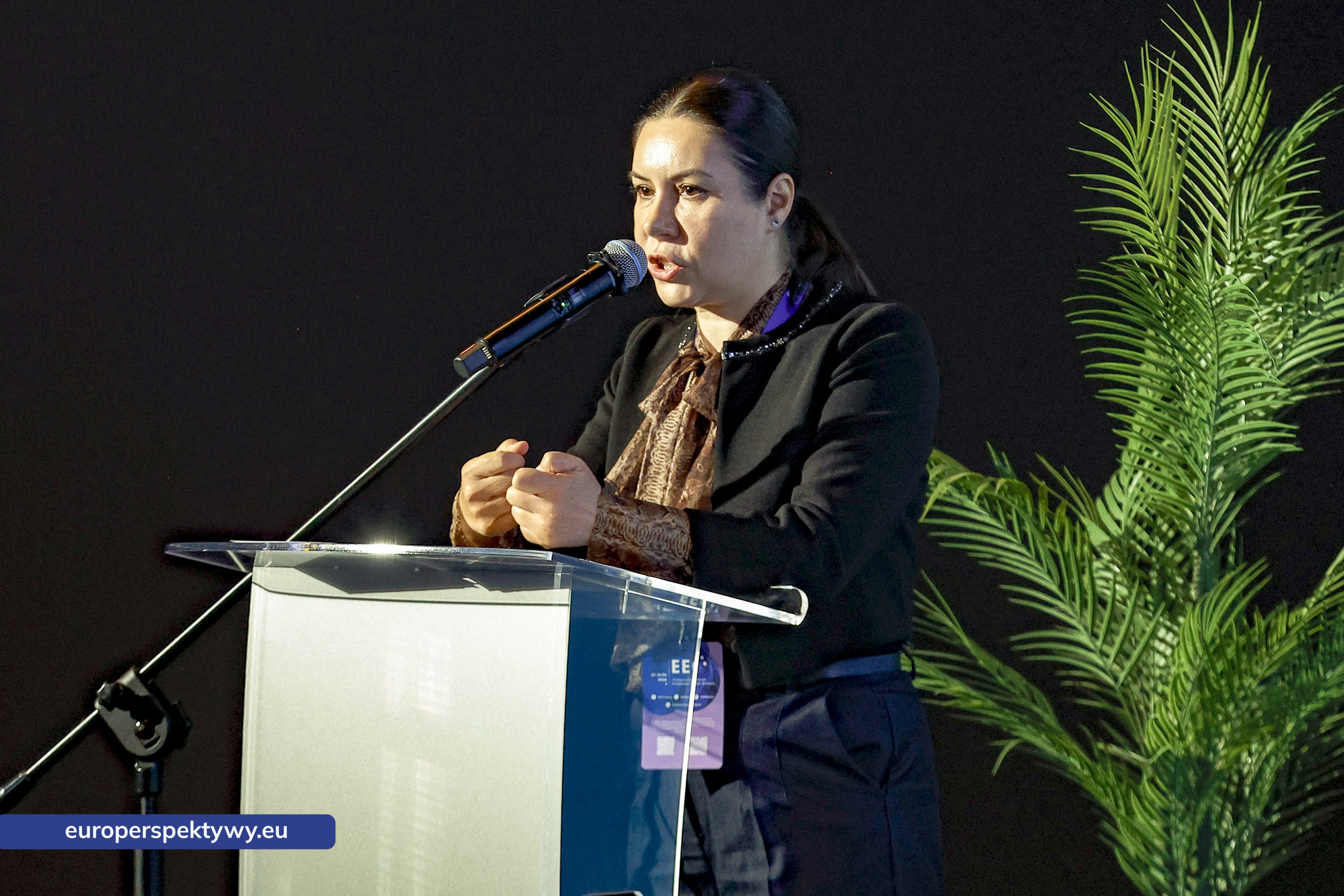 Europerspektywy Fotorelacja z II dnia EEC 2026