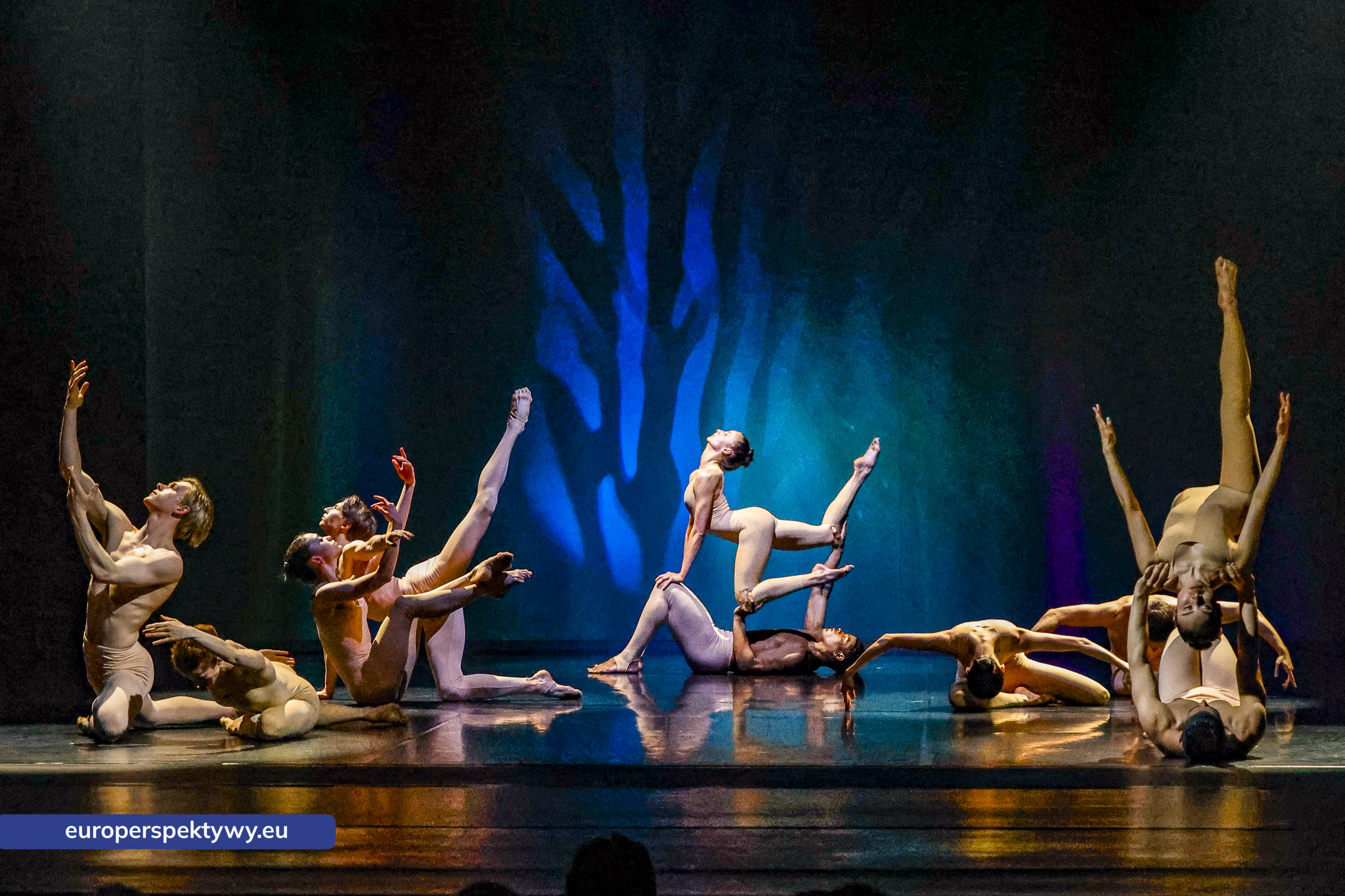 adagio drzewiecki opera śląska