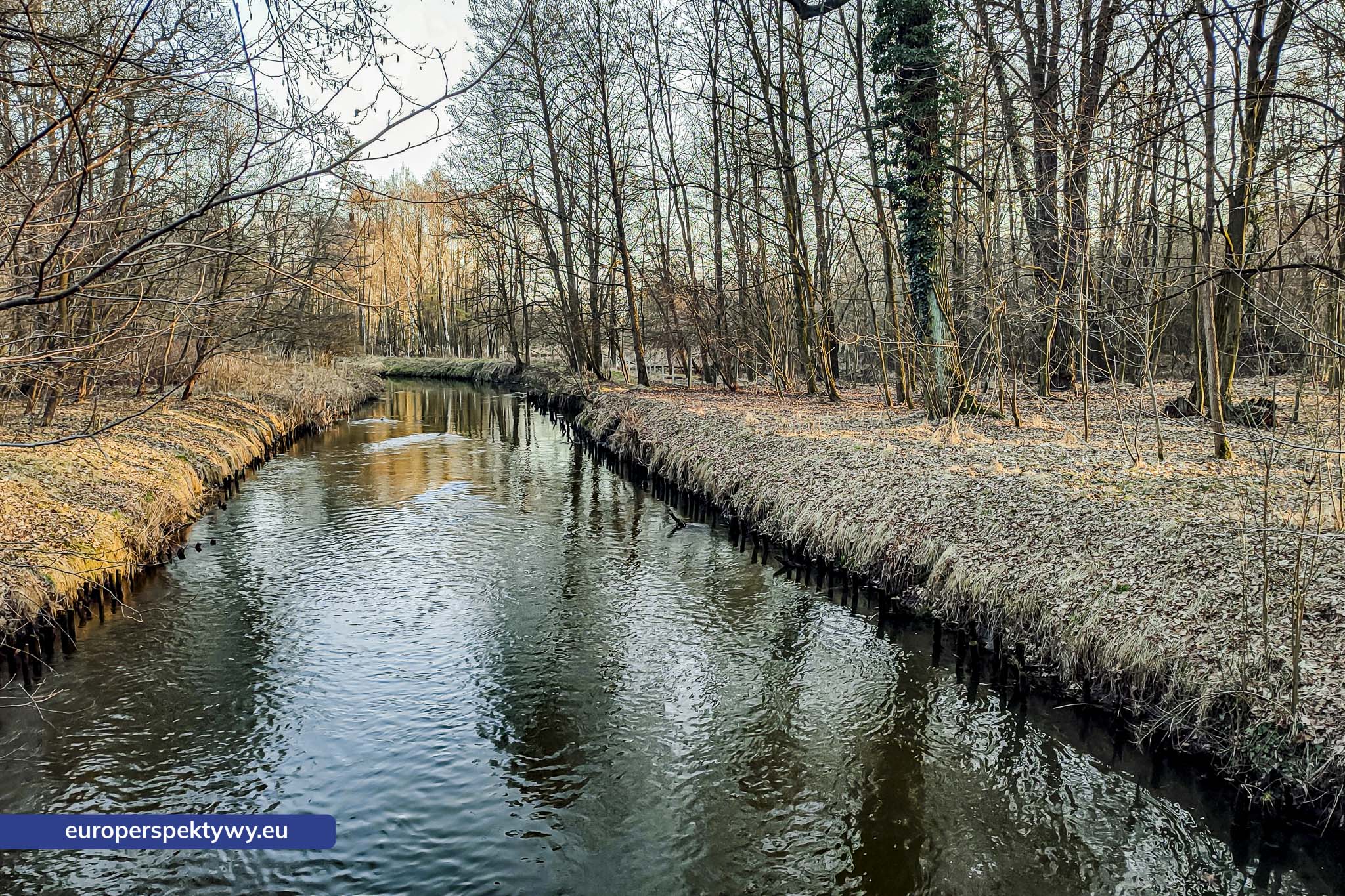 Europerspektywy Park Krajobrazowy Cysterskie Kompozycje Krajobrazowe Rud Wielkich – ekologiczny spacer w sercu Śląska