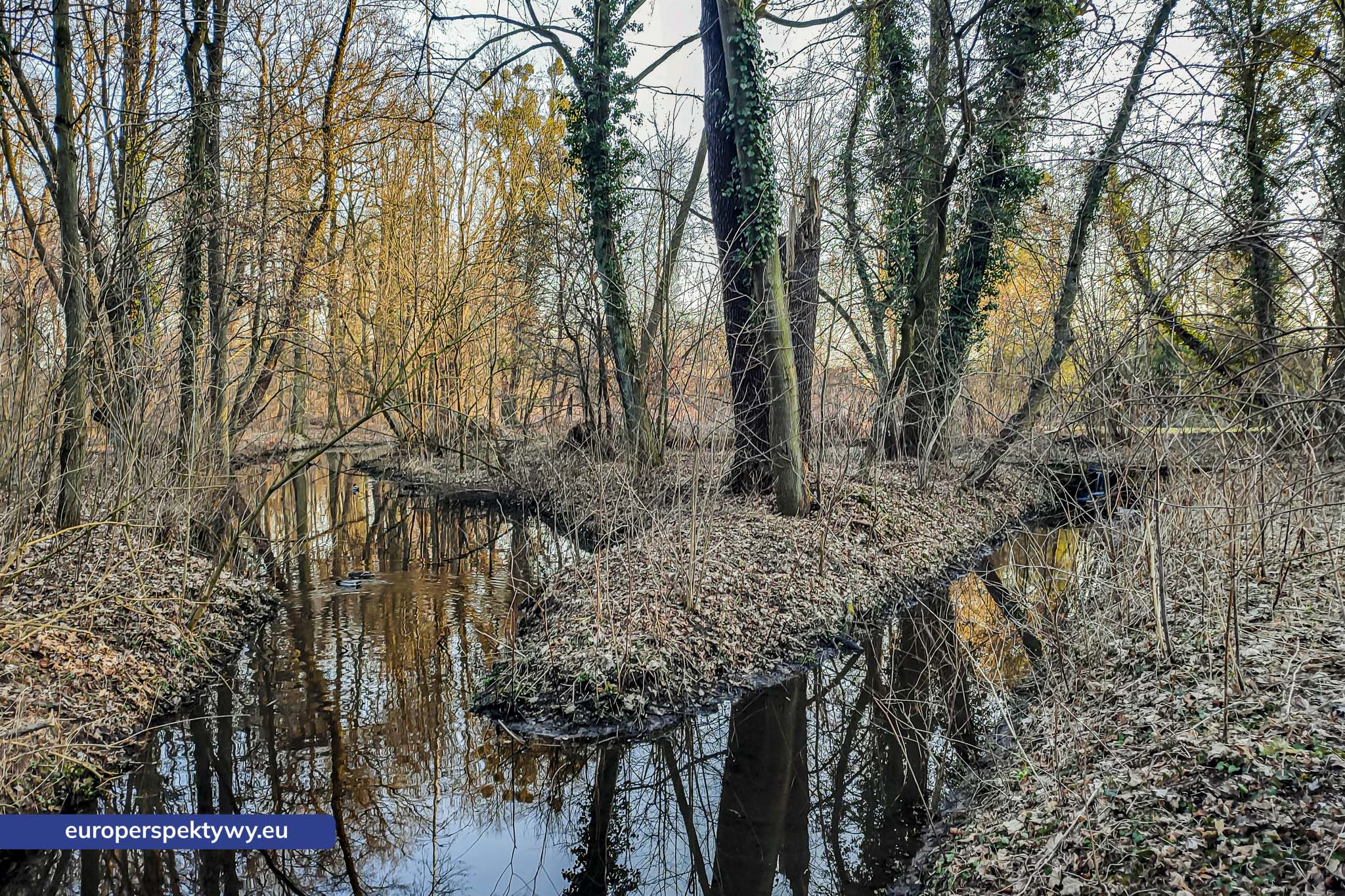 Europerspektywy Park im. Jacka Kuronia w Sosnowcu – zielone serce miejskiej rekreacji