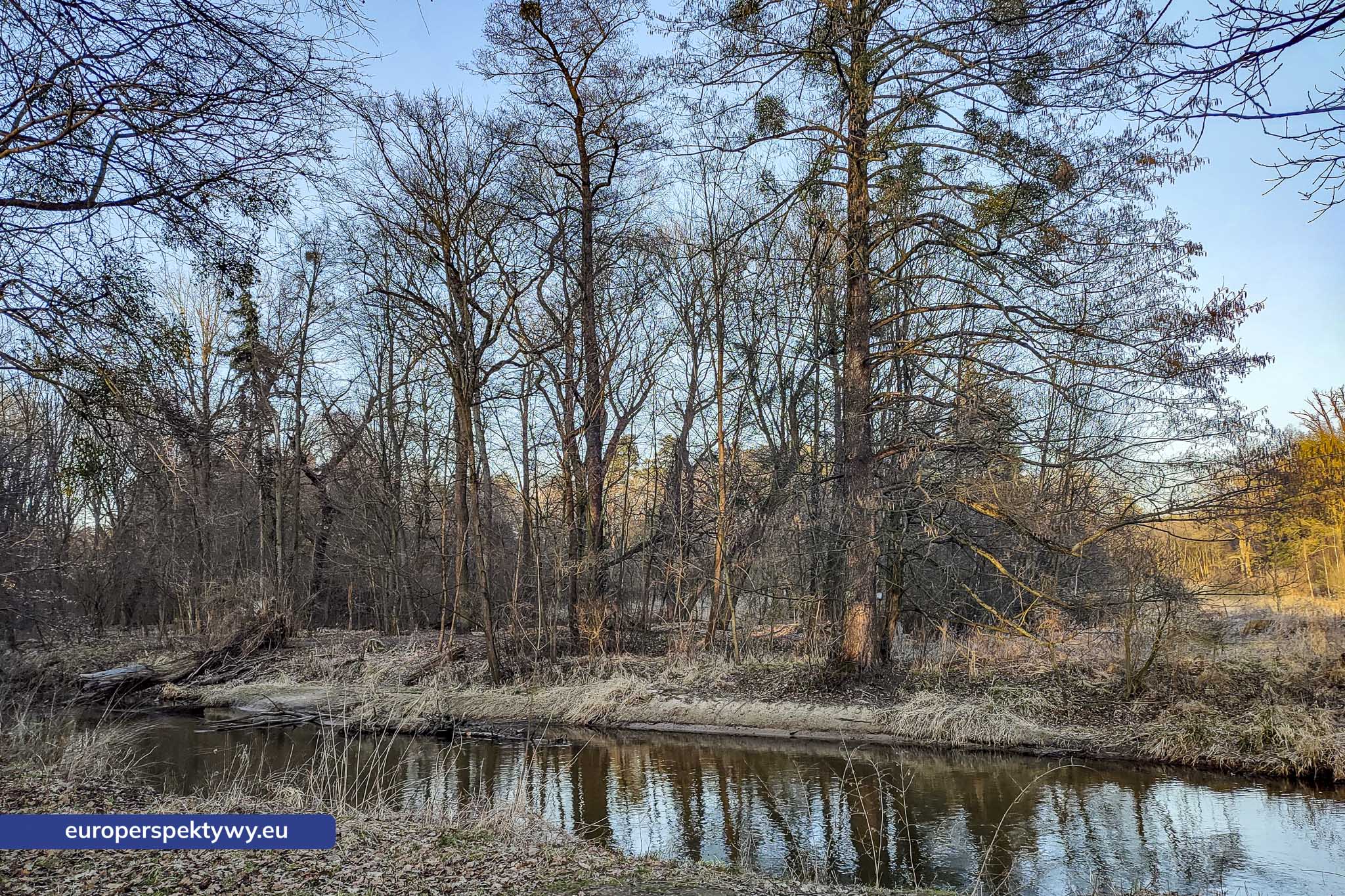 Europerspektywy Park Krajobrazowy Cysterskie Kompozycje Krajobrazowe Rud Wielkich – ekologiczny spacer w sercu Śląska