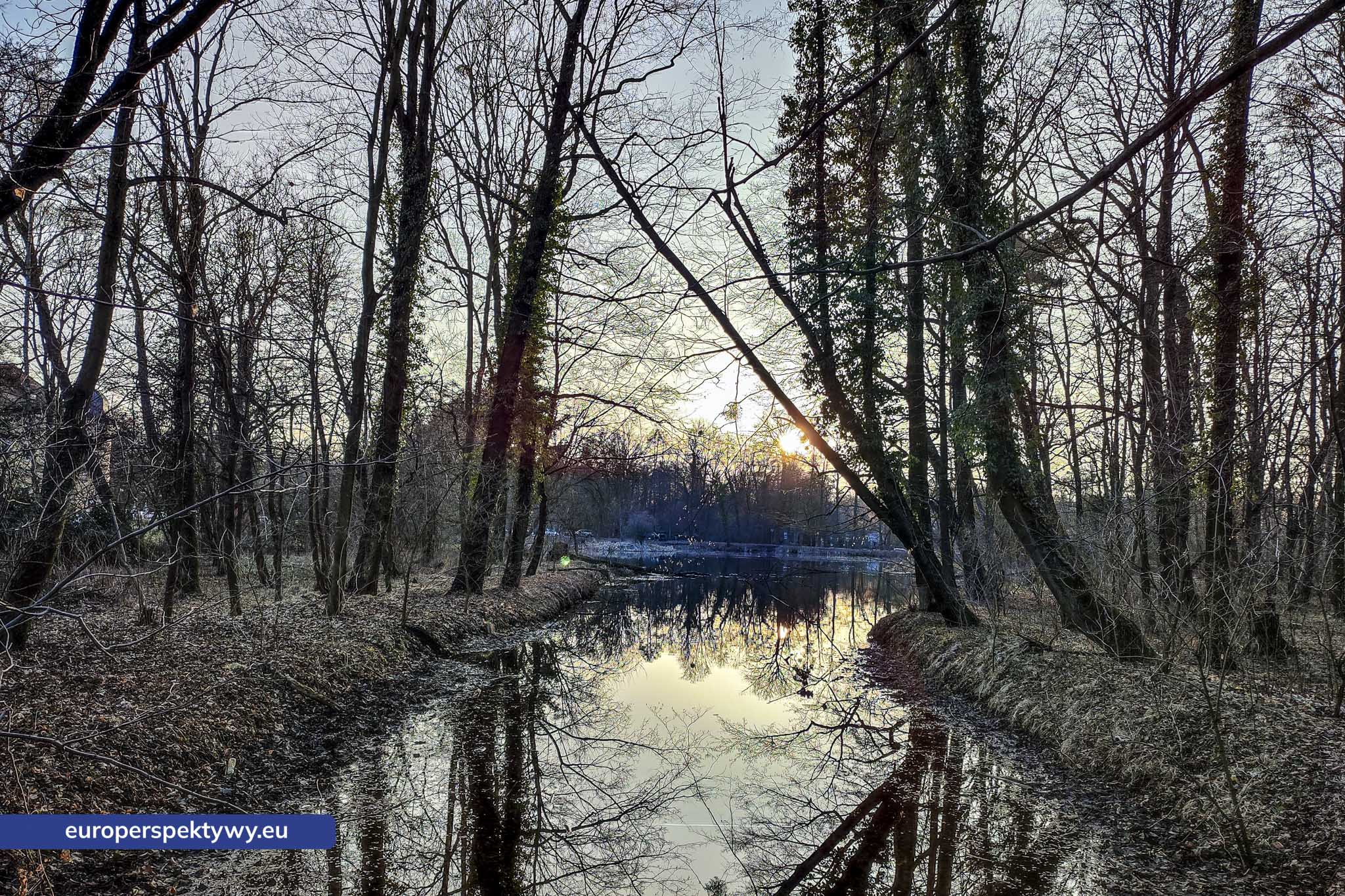 Park im. Jacka Kuronia w Sosnowcu