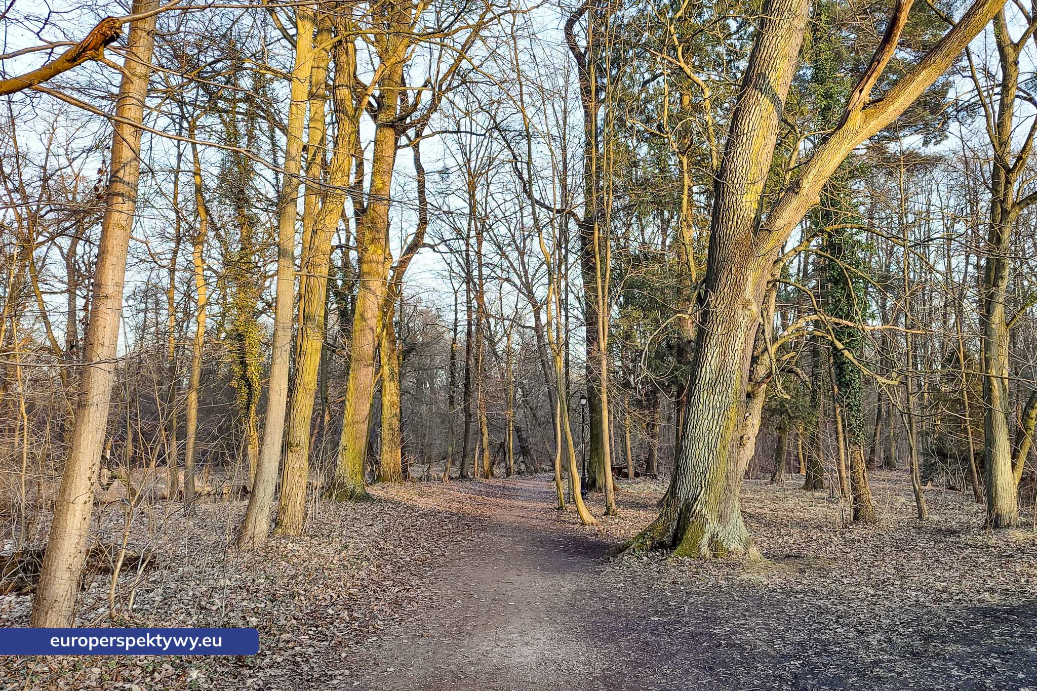 Europerspektywy Park Krajobrazowy Cysterskie Kompozycje Krajobrazowe Rud Wielkich – ekologiczny spacer w sercu Śląska