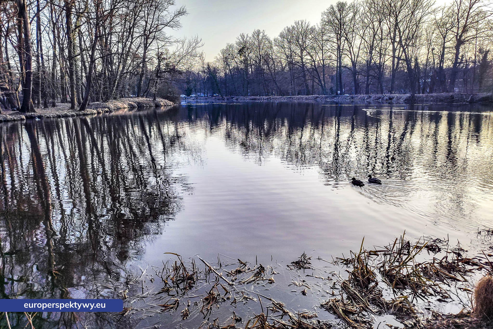 Europerspektywy Park im. Jacka Kuronia w Sosnowcu – zielone serce miejskiej rekreacji