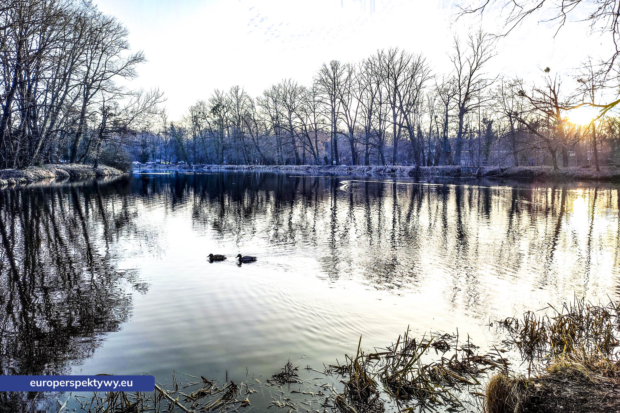 Europerspektywy Park im. Jacka Kuronia w Sosnowcu – zielone serce miejskiej rekreacji