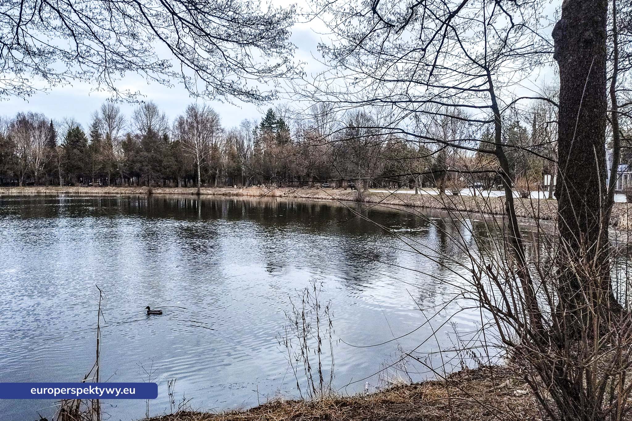 Europerspektywy Park im. Jacka Kuronia w Sosnowcu – zielone serce miejskiej rekreacji