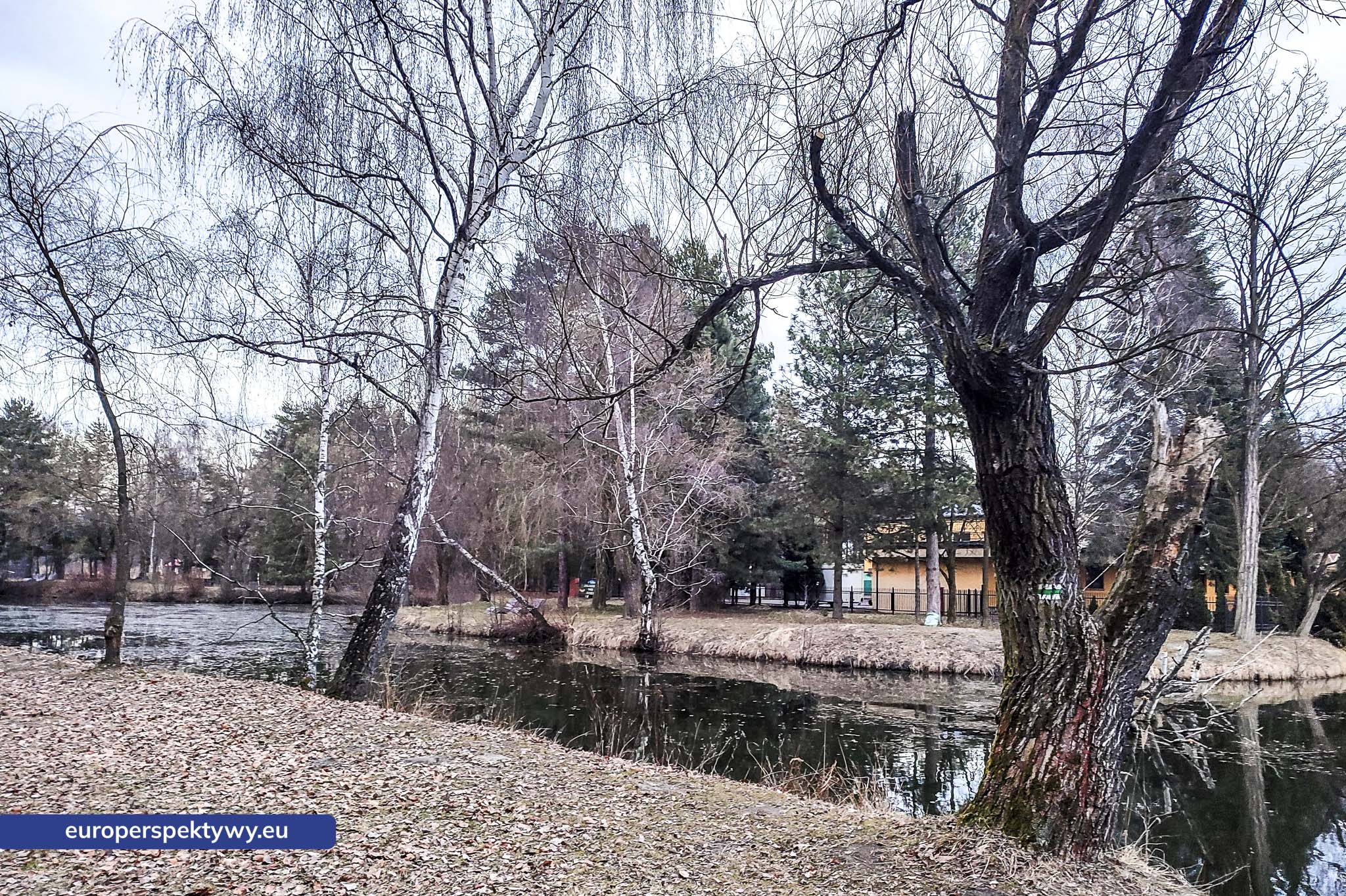 Europerspektywy Park im. Jacka Kuronia w Sosnowcu – zielone serce miejskiej rekreacji