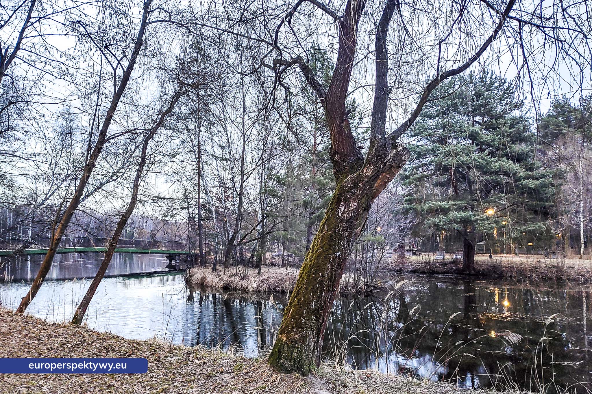 Europerspektywy Park im. Jacka Kuronia w Sosnowcu – zielone serce miejskiej rekreacji