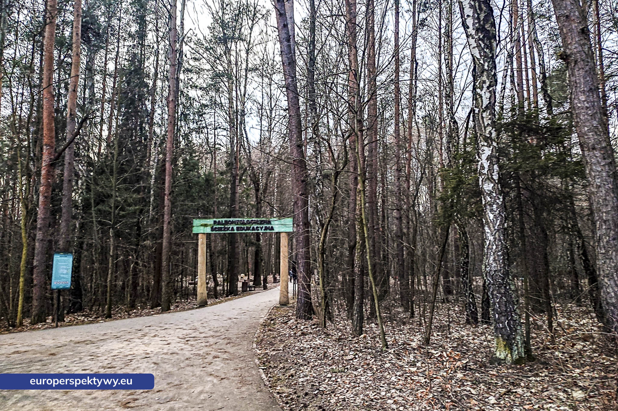 Europerspektywy Park im. Jacka Kuronia w Sosnowcu – zielone serce miejskiej rekreacji