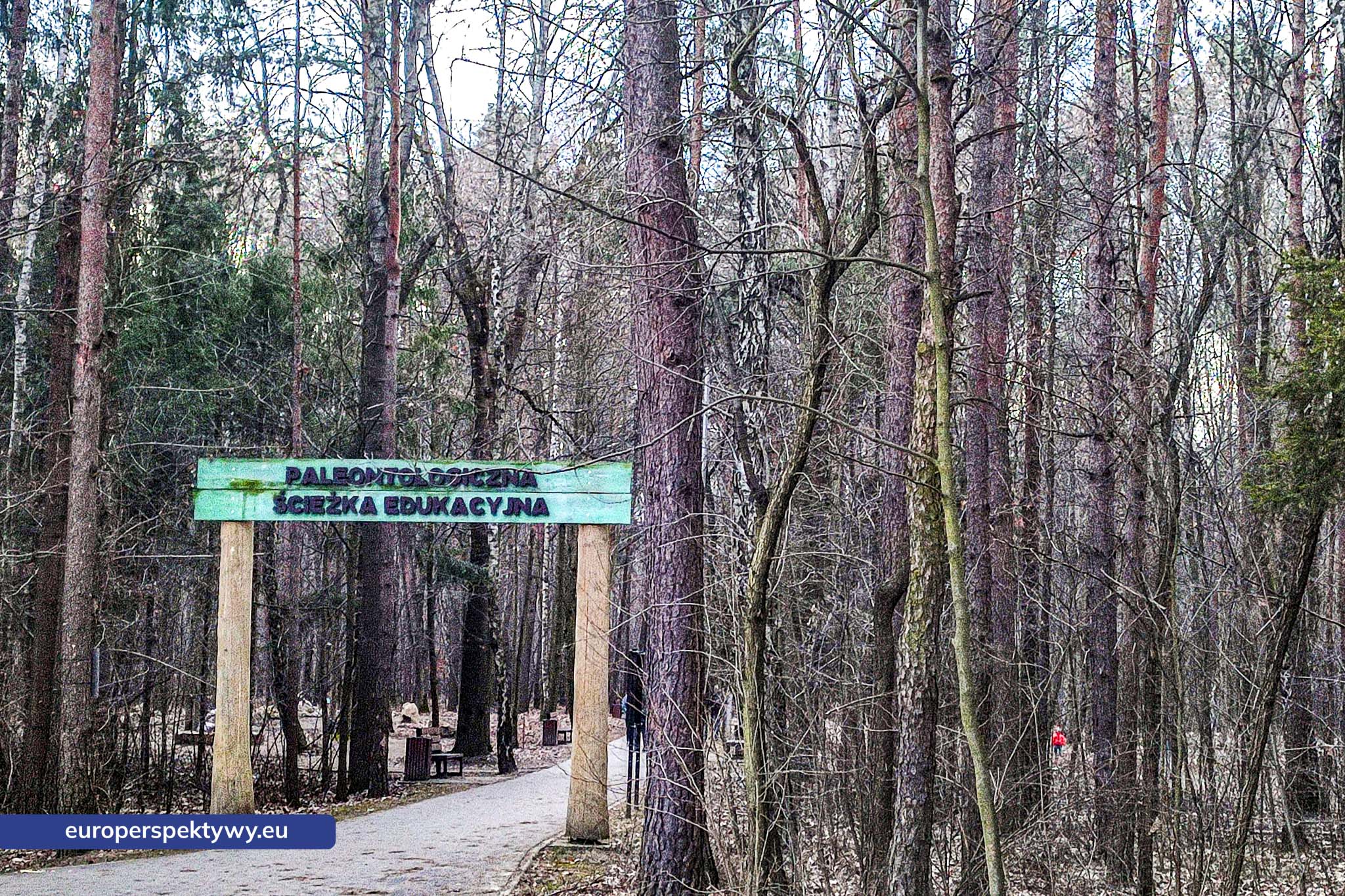 Europerspektywy Park im. Jacka Kuronia w Sosnowcu – zielone serce miejskiej rekreacji