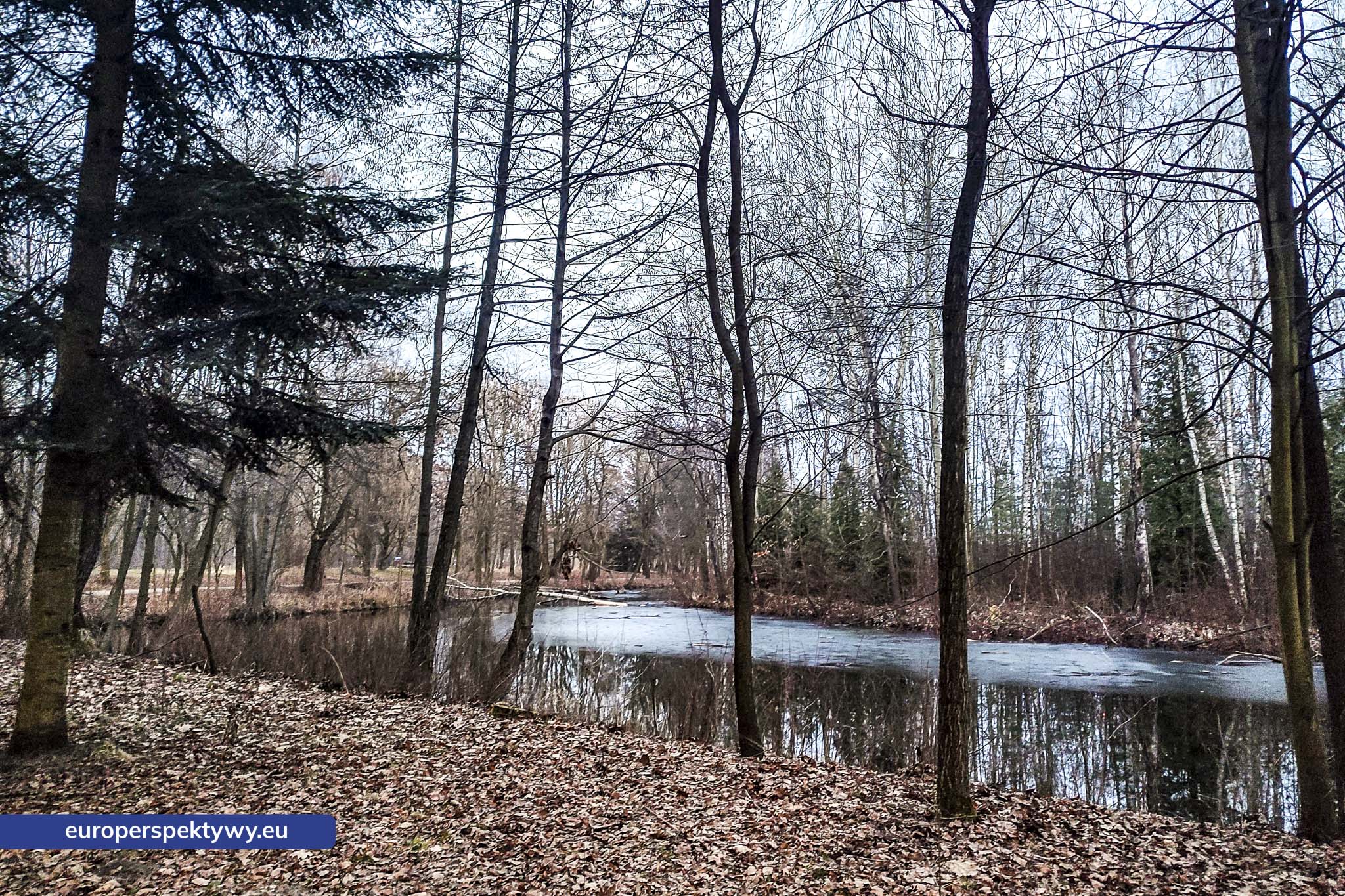 Europerspektywy Park im. Jacka Kuronia w Sosnowcu – zielone serce miejskiej rekreacji