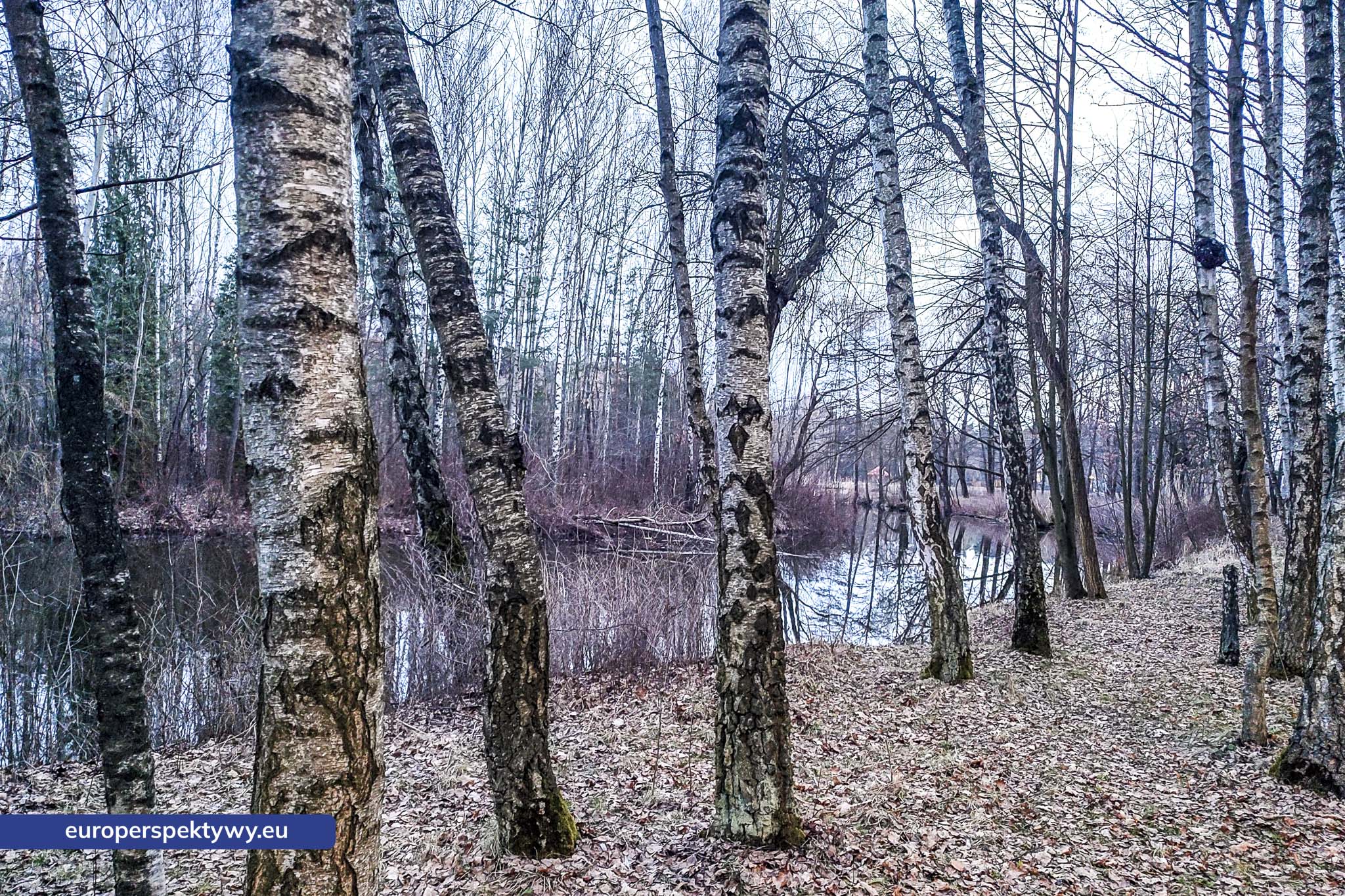 Park im. Jacka Kuronia w Sosnowcu