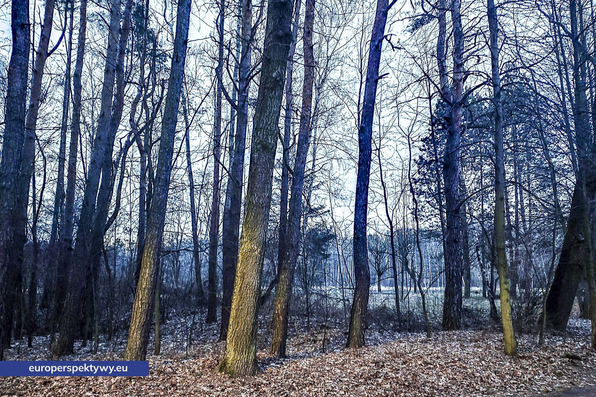 Europerspektywy Park im. Jacka Kuronia w Sosnowcu – zielone serce miejskiej rekreacji