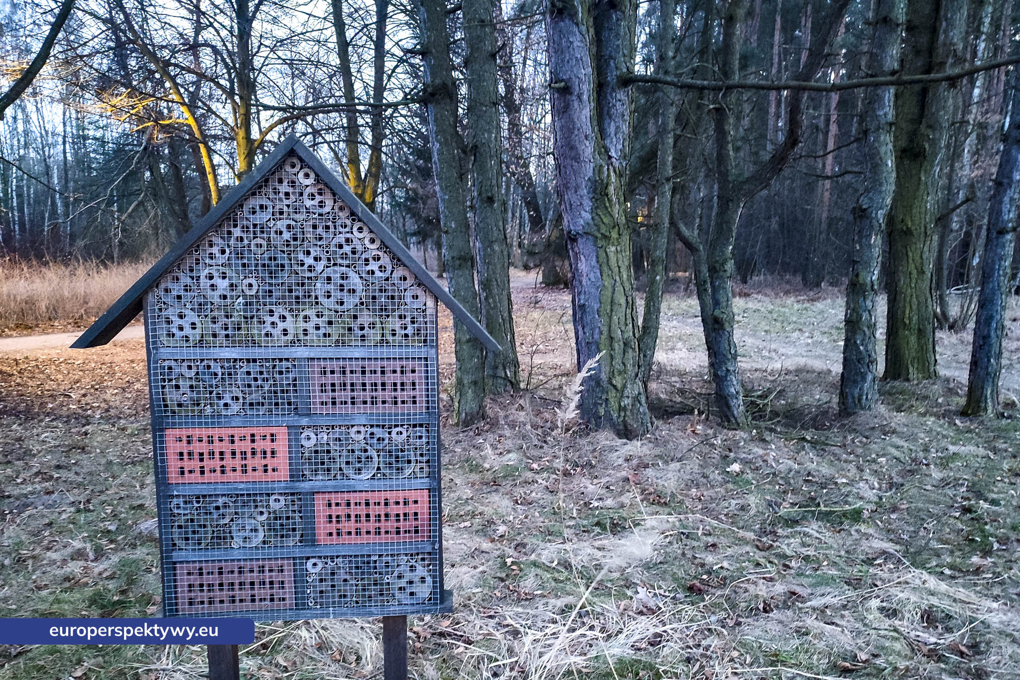 Europerspektywy Park im. Jacka Kuronia w Sosnowcu – zielone serce miejskiej rekreacji
