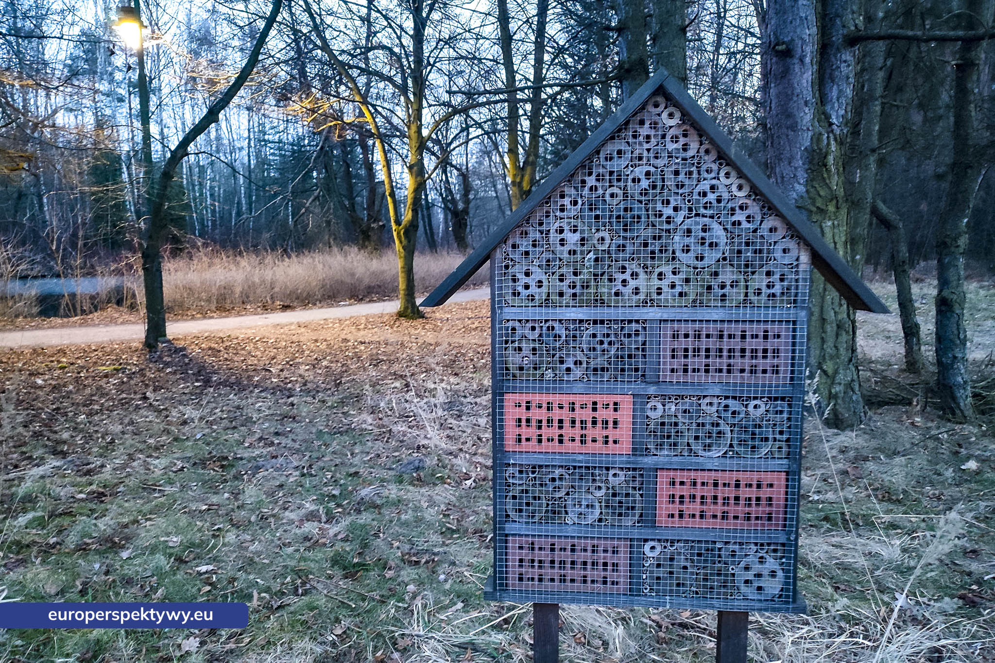 Park im. Jacka Kuronia w Sosnowcu