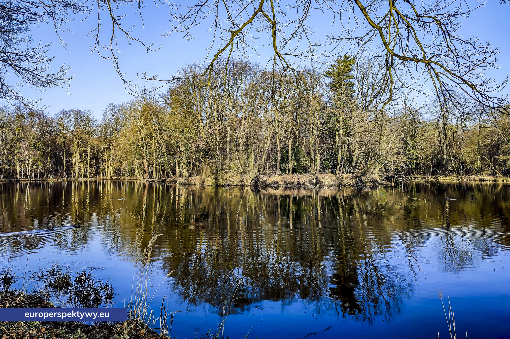 Europerspektywy Park Krajobrazowy Cysterskie Kompozycje Krajobrazowe Rud Wielkich – ekologiczny spacer w sercu Śląska