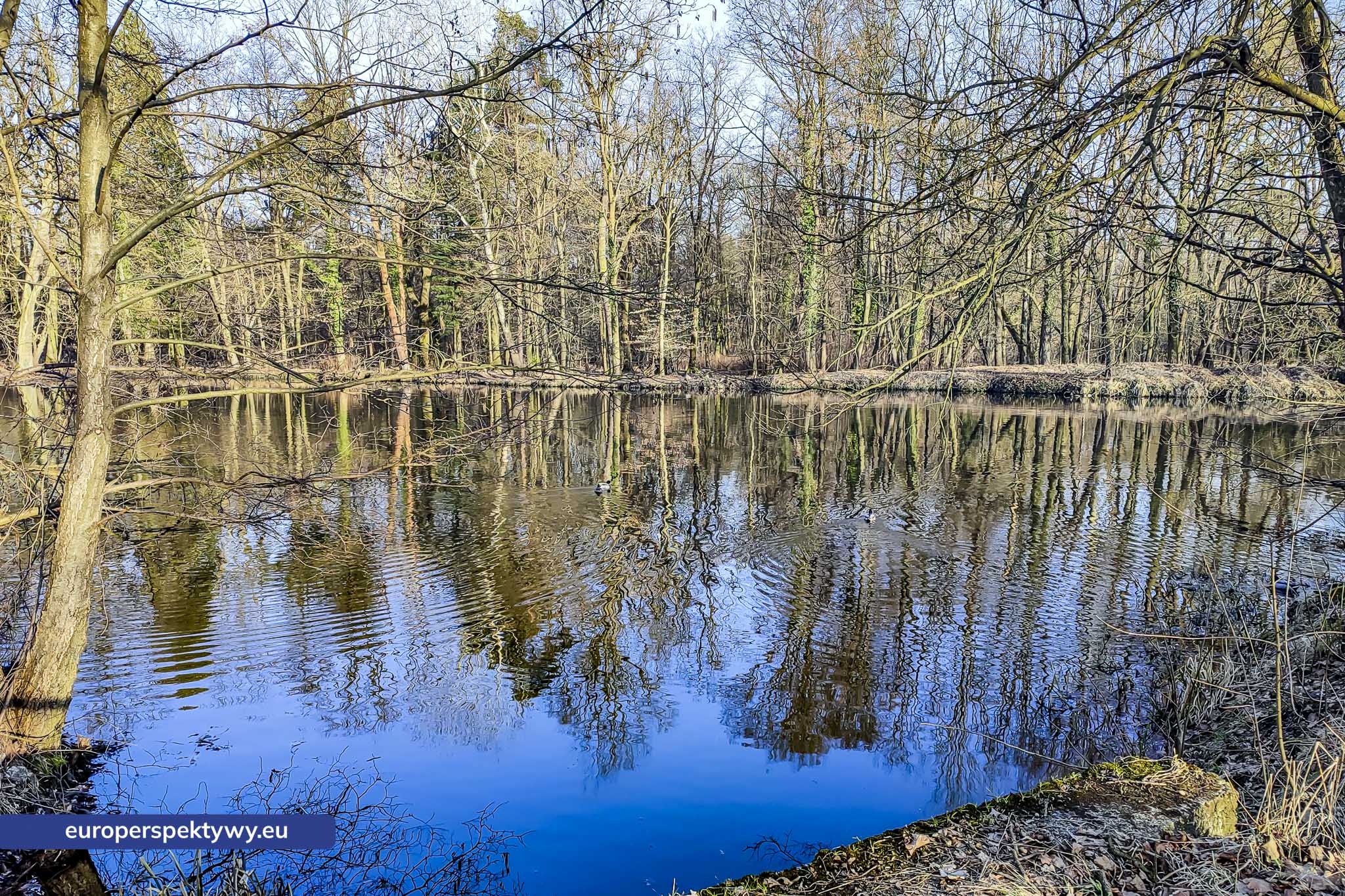 Europerspektywy Park Krajobrazowy Cysterskie Kompozycje Krajobrazowe Rud Wielkich – ekologiczny spacer w sercu Śląska