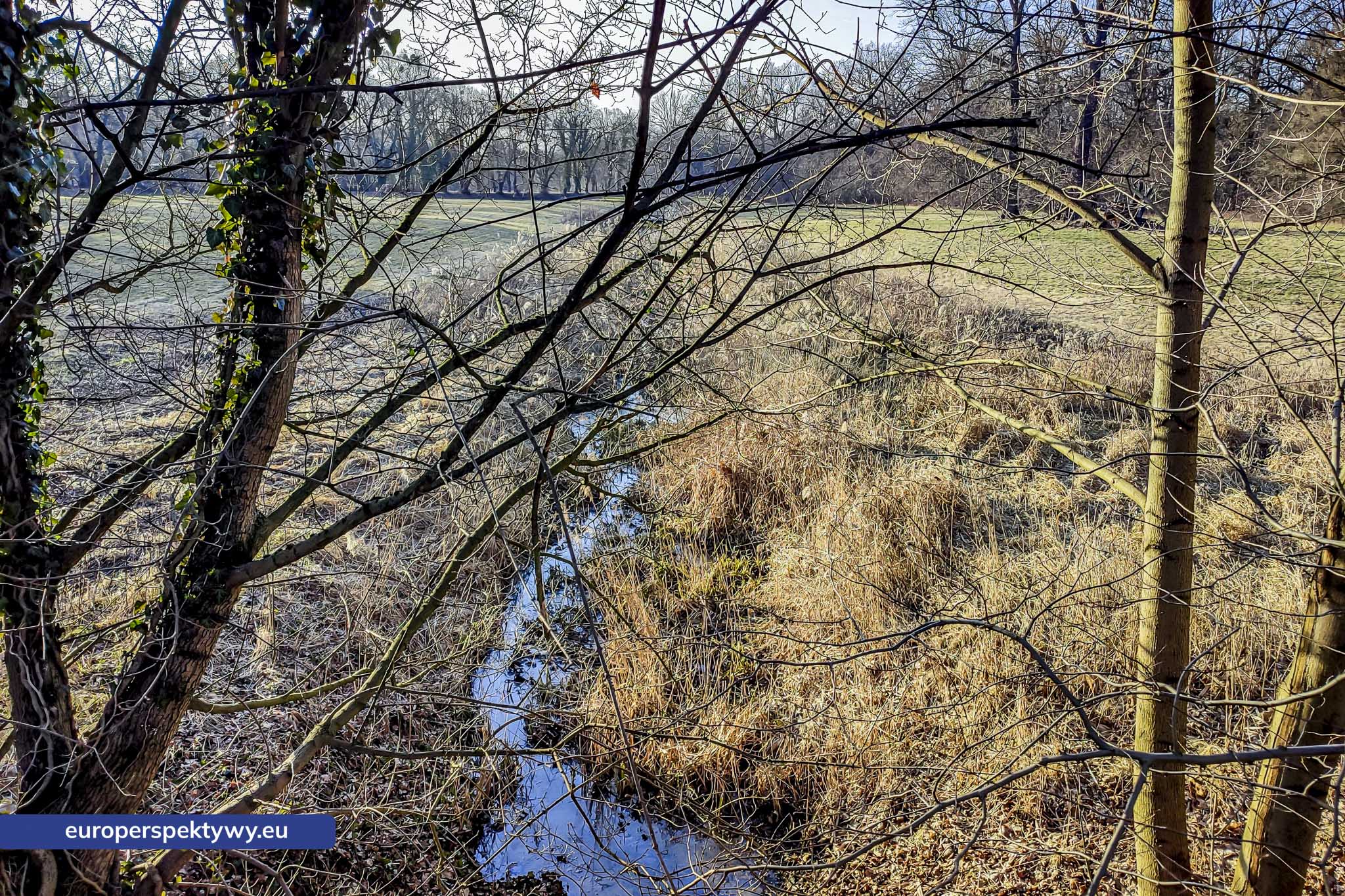 Europerspektywy Park Krajobrazowy Cysterskie Kompozycje Krajobrazowe Rud Wielkich – ekologiczny spacer w sercu Śląska