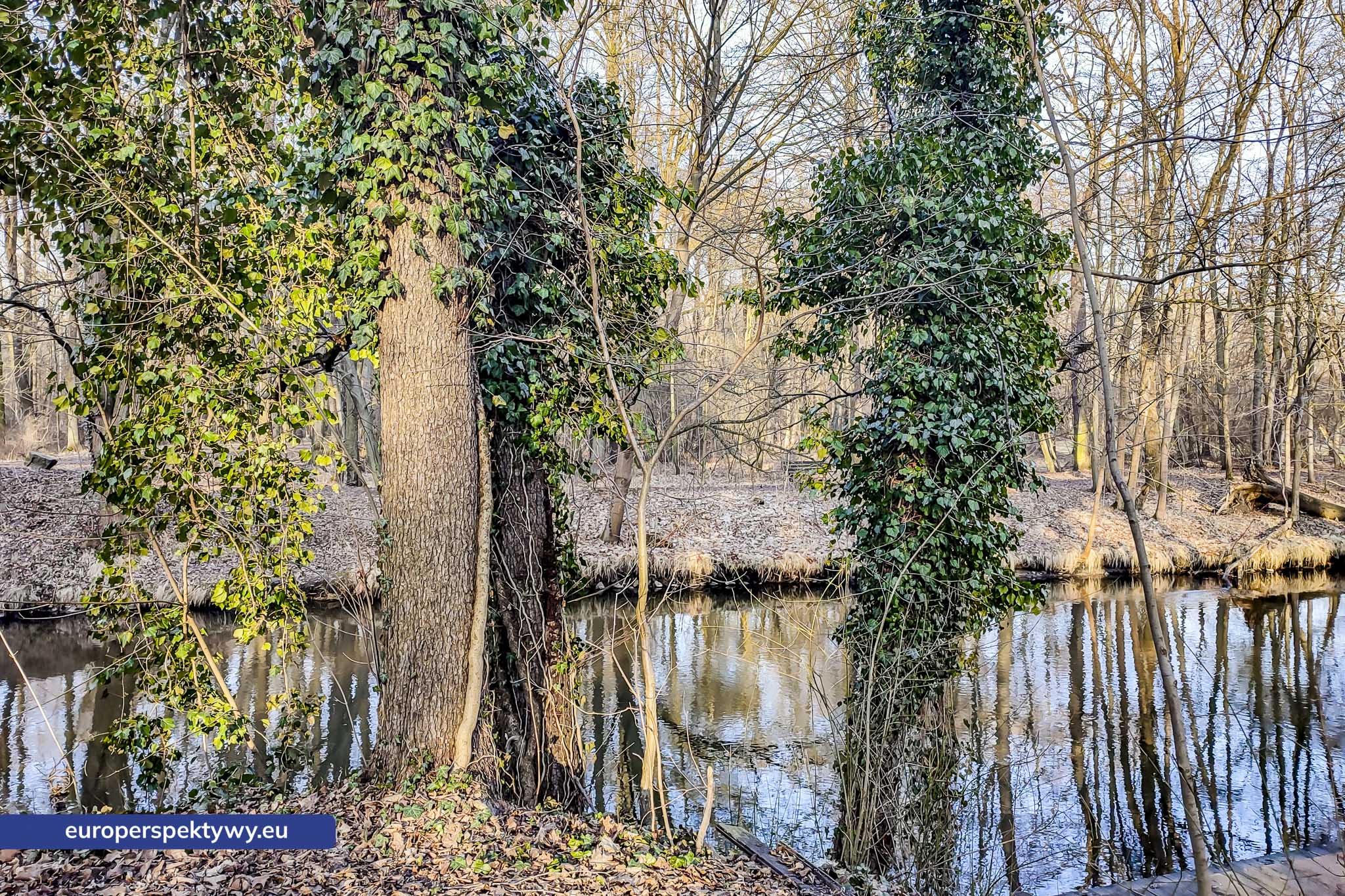 Europerspektywy Park Krajobrazowy Cysterskie Kompozycje Krajobrazowe Rud Wielkich – ekologiczny spacer w sercu Śląska