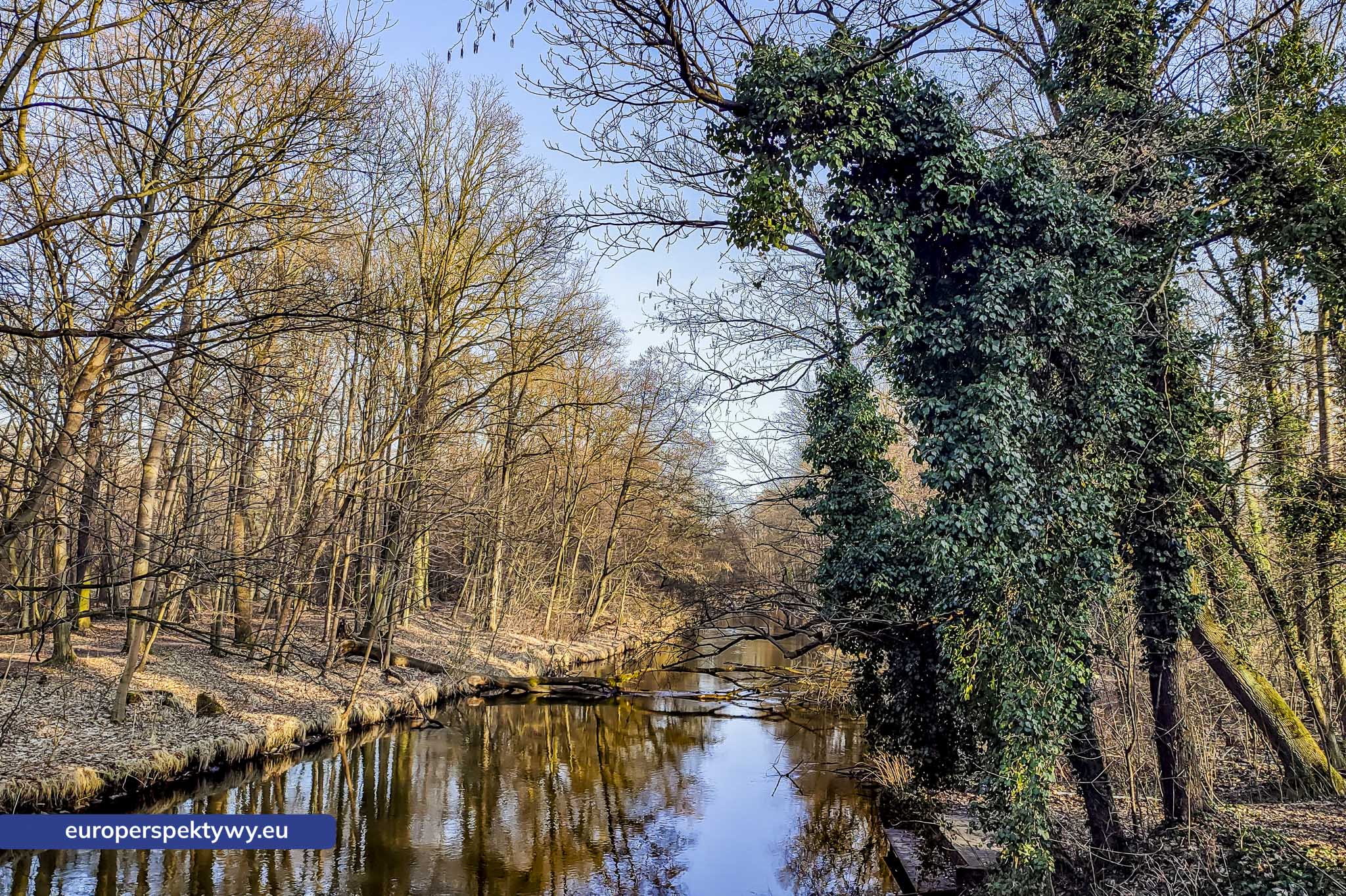Europerspektywy Park Krajobrazowy Cysterskie Kompozycje Krajobrazowe Rud Wielkich – ekologiczny spacer w sercu Śląska