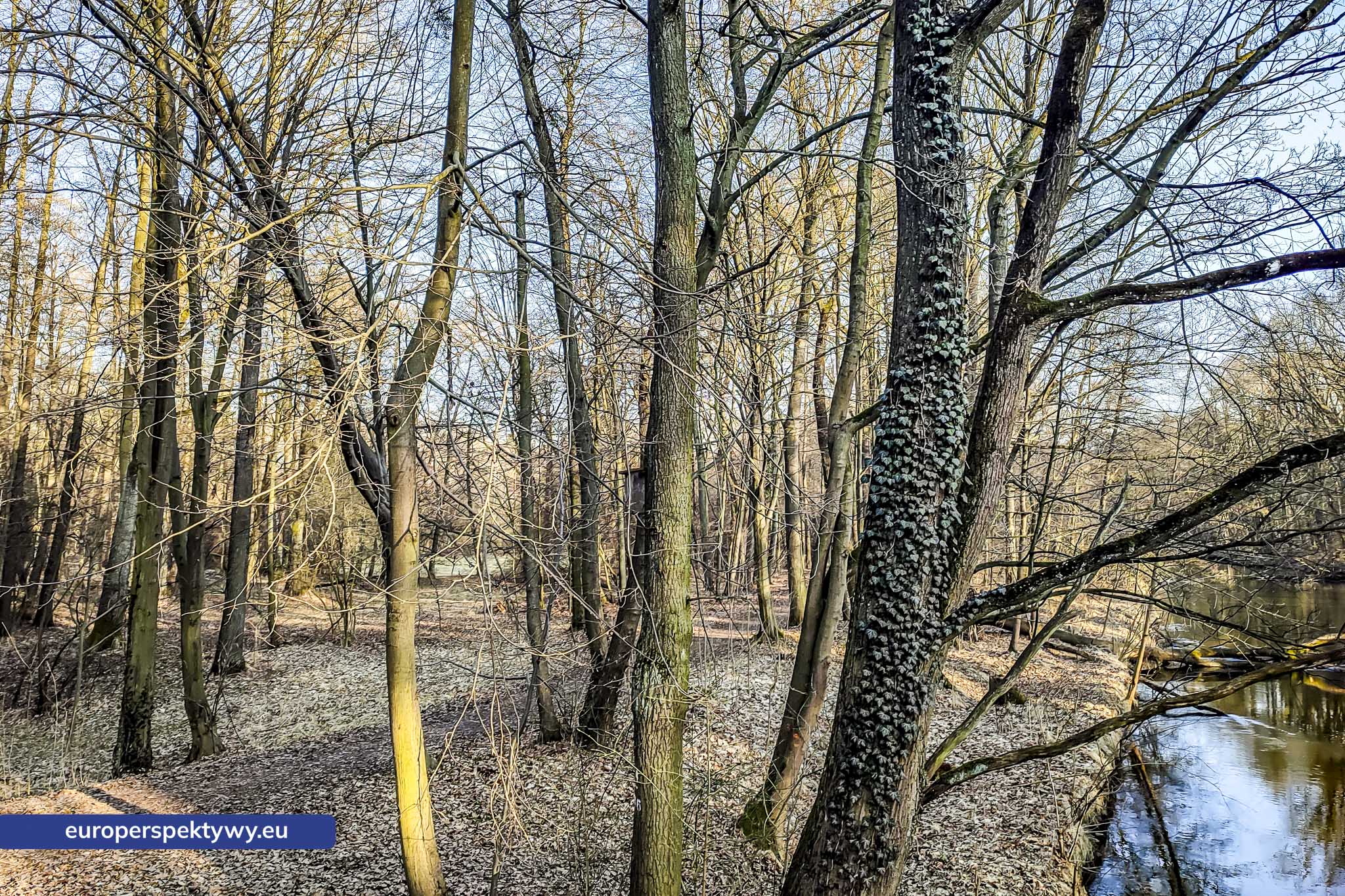 Europerspektywy Park Krajobrazowy Cysterskie Kompozycje Krajobrazowe Rud Wielkich – ekologiczny spacer w sercu Śląska