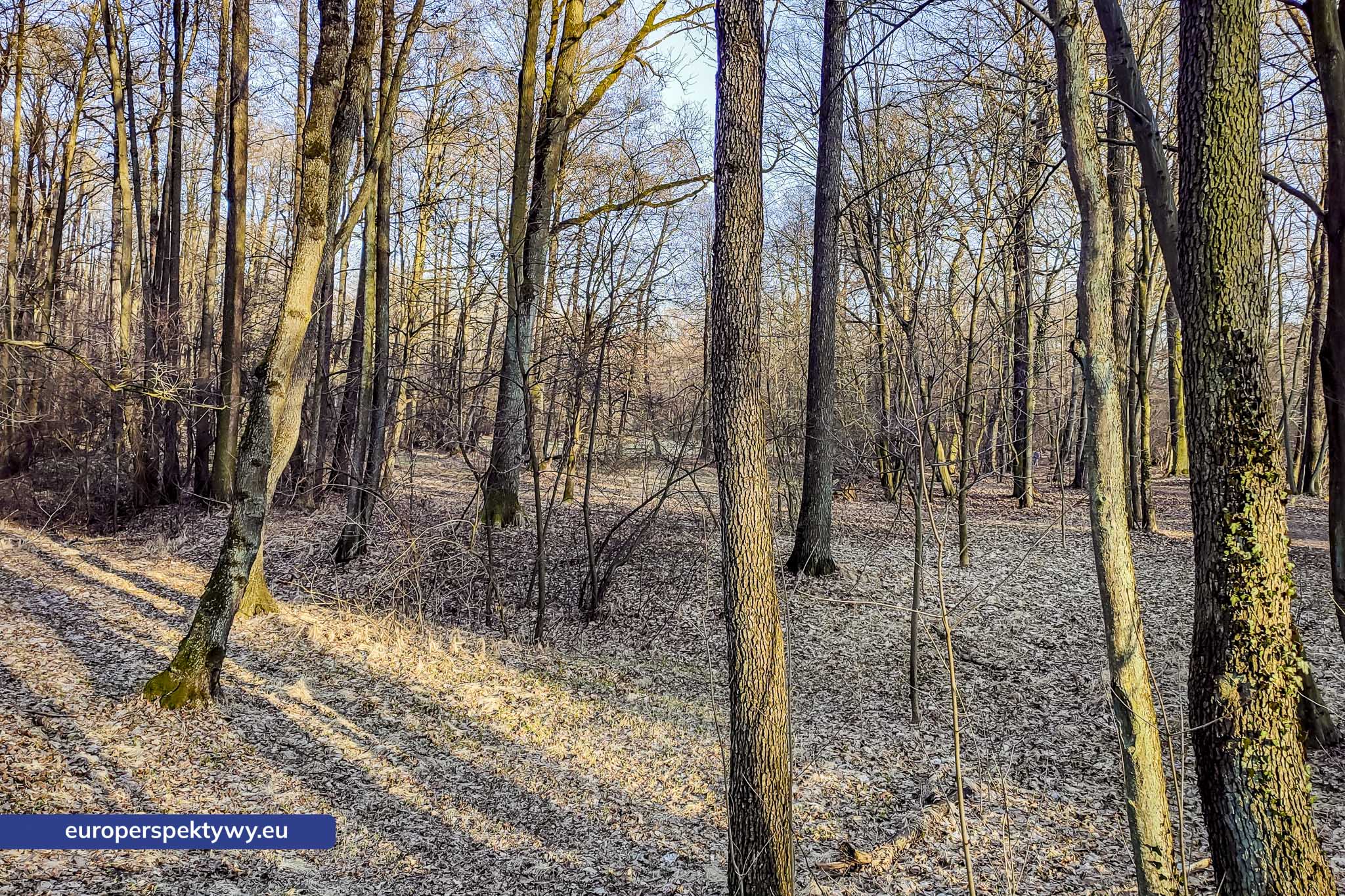 Europerspektywy Park Krajobrazowy Cysterskie Kompozycje Krajobrazowe Rud Wielkich – ekologiczny spacer w sercu Śląska