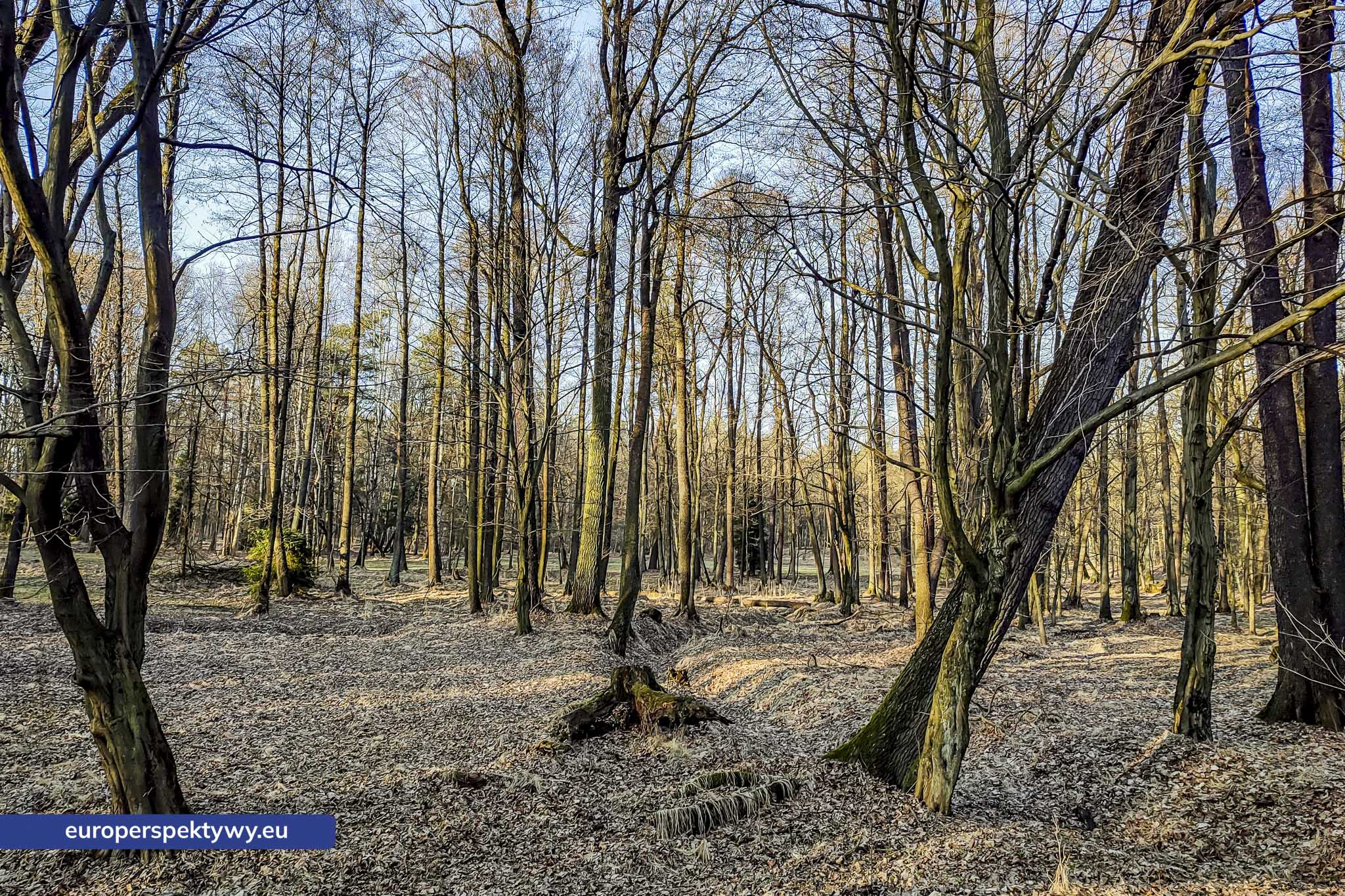 Europerspektywy Park Krajobrazowy Cysterskie Kompozycje Krajobrazowe Rud Wielkich – ekologiczny spacer w sercu Śląska