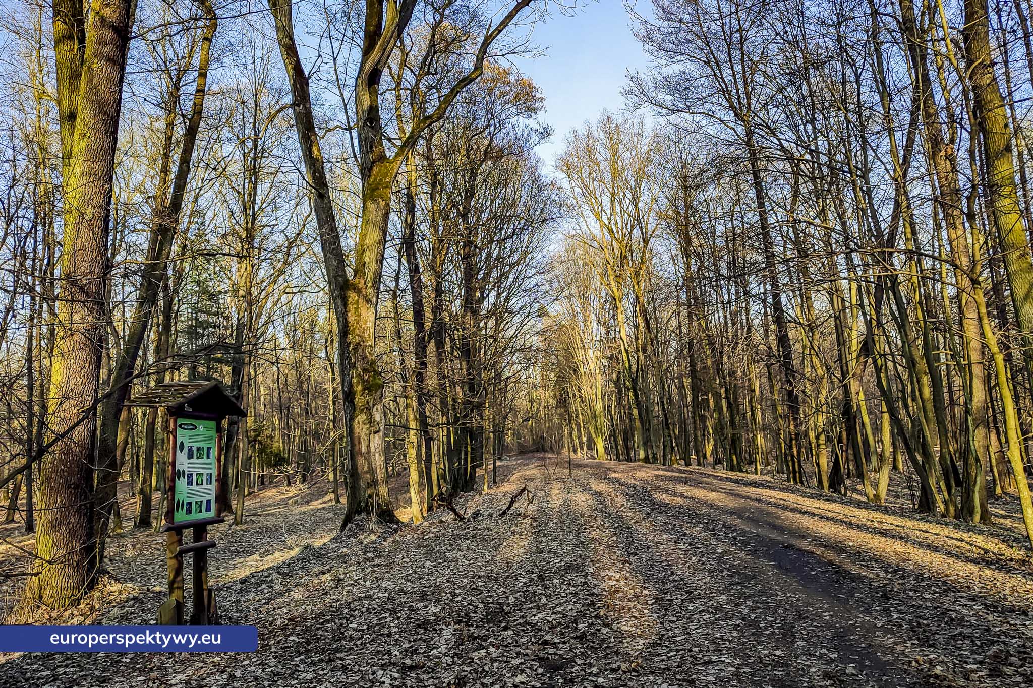Europerspektywy Park Krajobrazowy Cysterskie Kompozycje Krajobrazowe Rud Wielkich – ekologiczny spacer w sercu Śląska