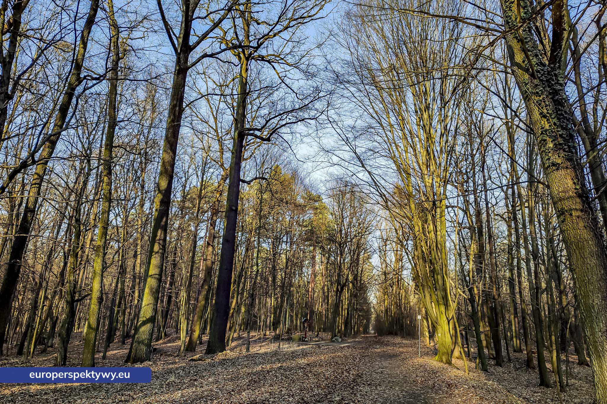 Europerspektywy Park Krajobrazowy Cysterskie Kompozycje Krajobrazowe Rud Wielkich – ekologiczny spacer w sercu Śląska