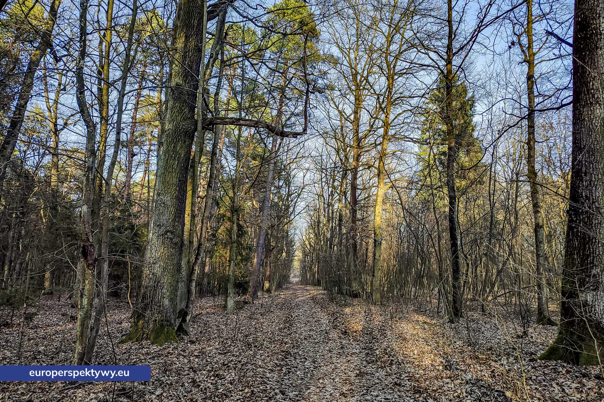 Europerspektywy Park Krajobrazowy Cysterskie Kompozycje Krajobrazowe Rud Wielkich – ekologiczny spacer w sercu Śląska
