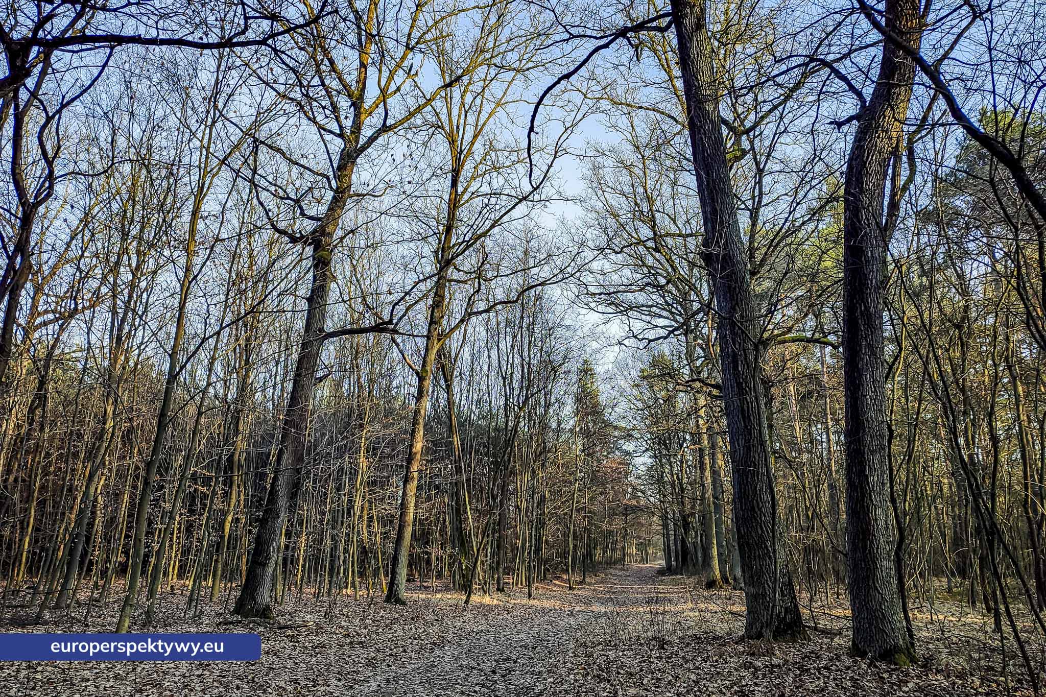 Europerspektywy Park Krajobrazowy Cysterskie Kompozycje Krajobrazowe Rud Wielkich – ekologiczny spacer w sercu Śląska
