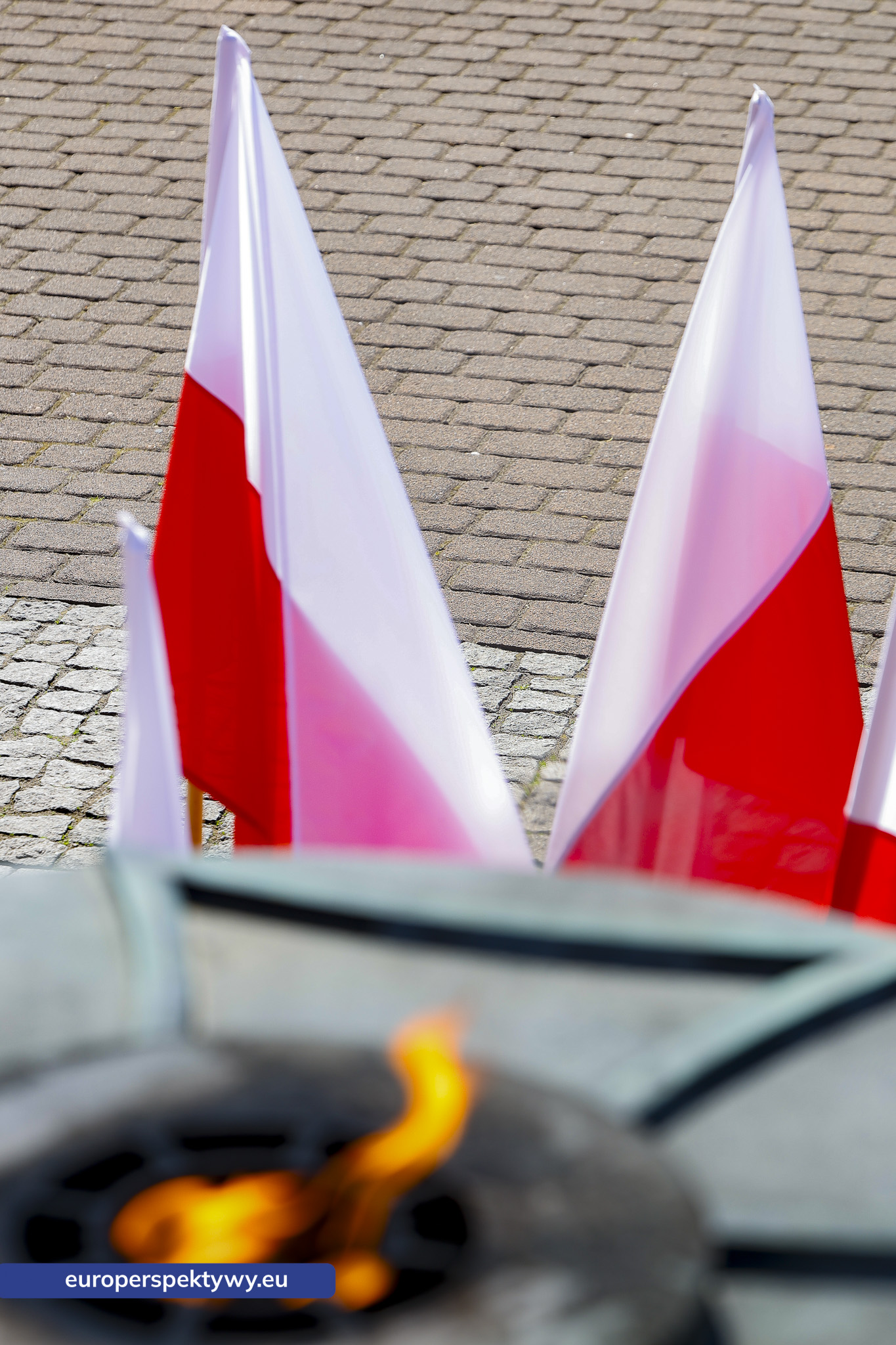 Europerspektywy Dzień Flagi w Katowicach. Wojewoda śląski przewodniczył uroczystym obchodom