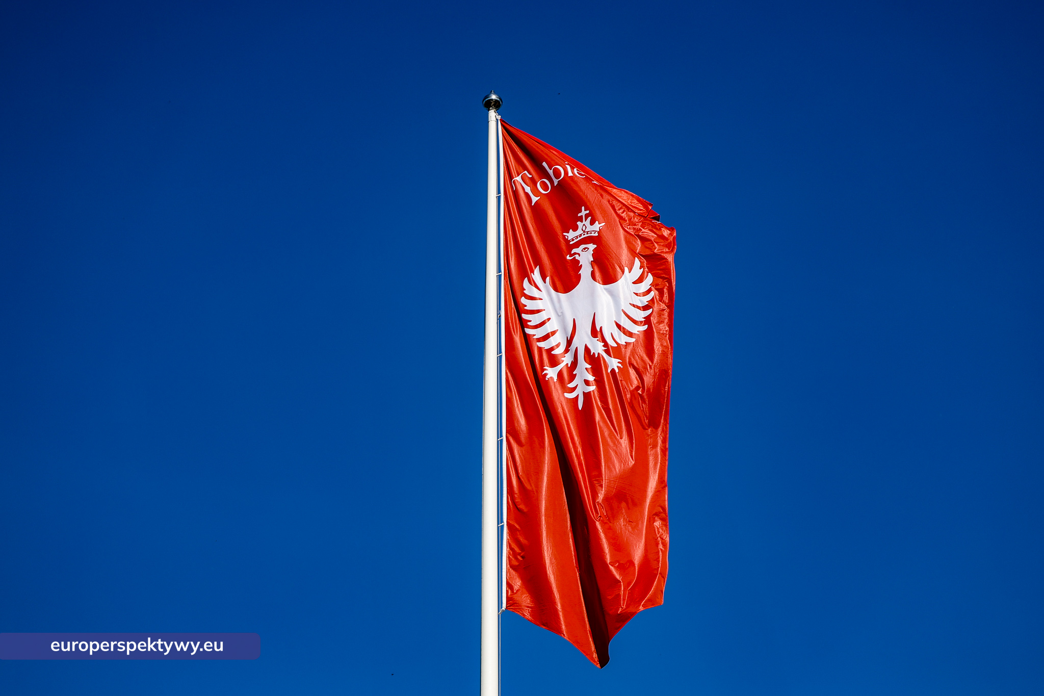 Europerspektywy Śląski Casprzyk w Dzień Flagi w Tauron Parku Śląskim